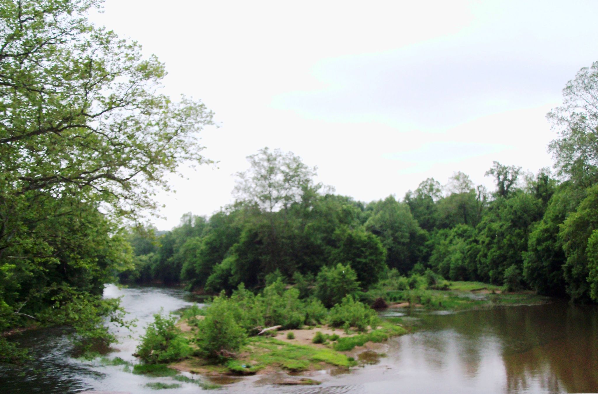 Wide river flowing through a lush green forest under an overcast sky. - War House Museum – Main Street Remington loop from Remington