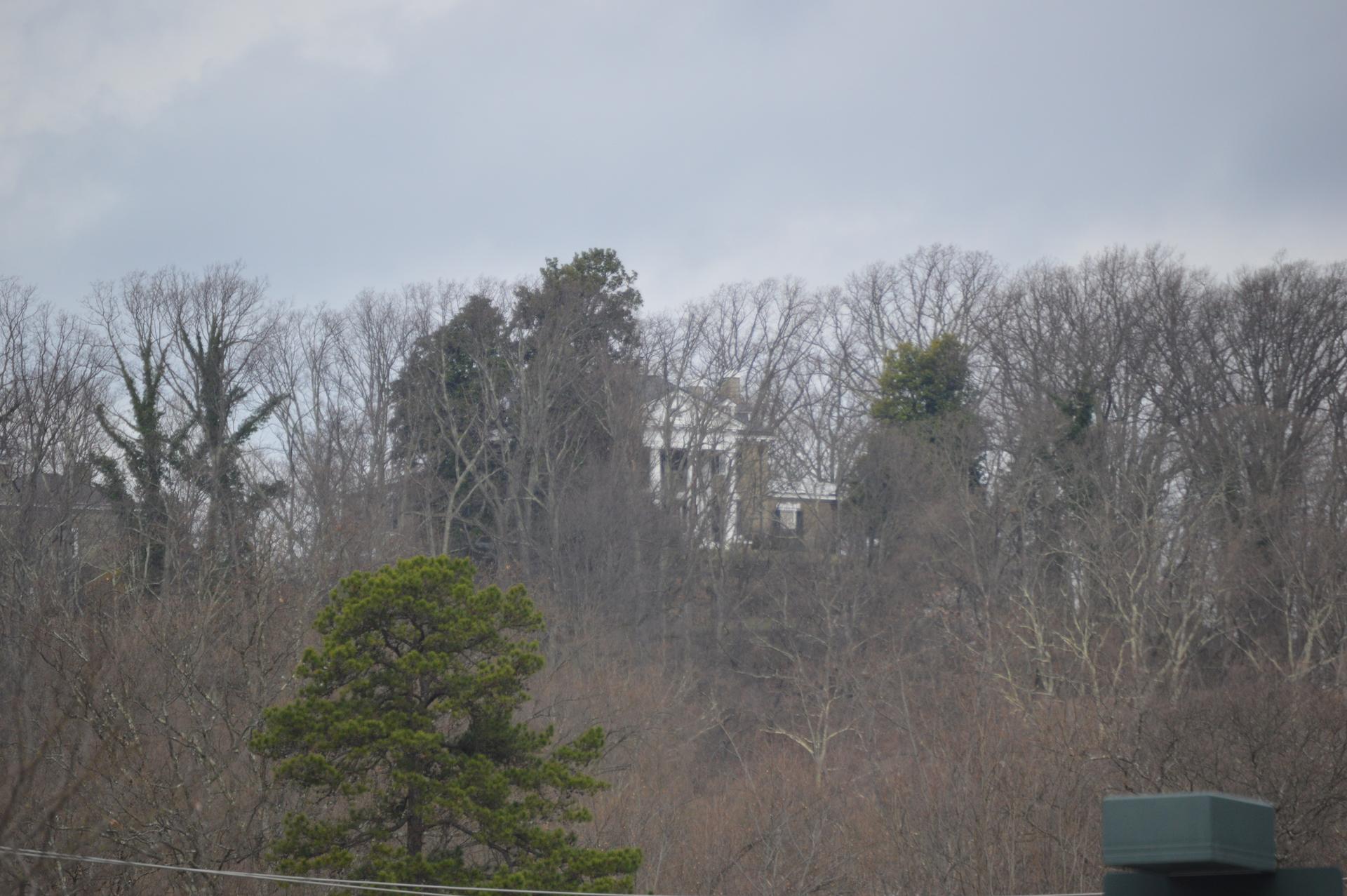Distant white building visible through a dense, bare winter forest under an overcast sky.