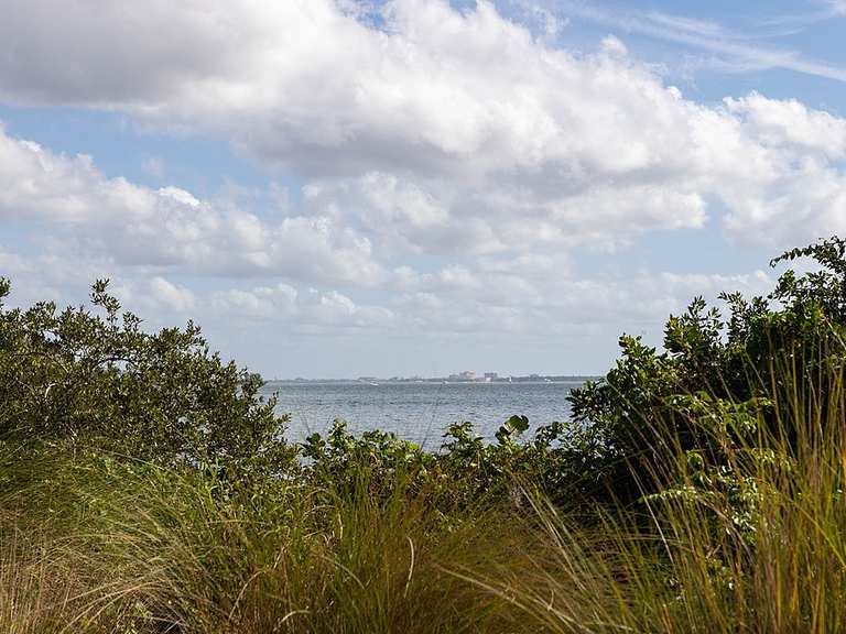 Observation Tower Trail & North Restoration Trail — Emerson Point ...
