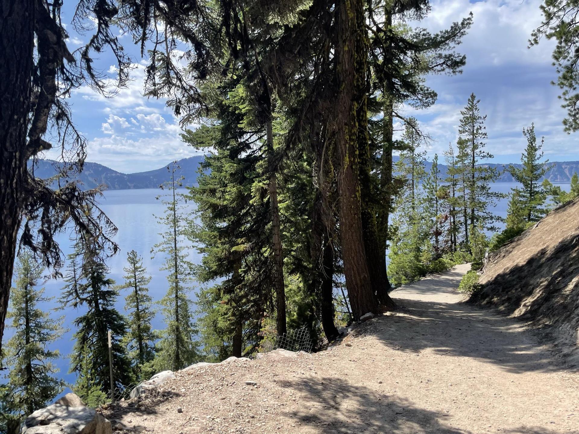 A dirt path winds through tall trees overlooking a calm blue lake.