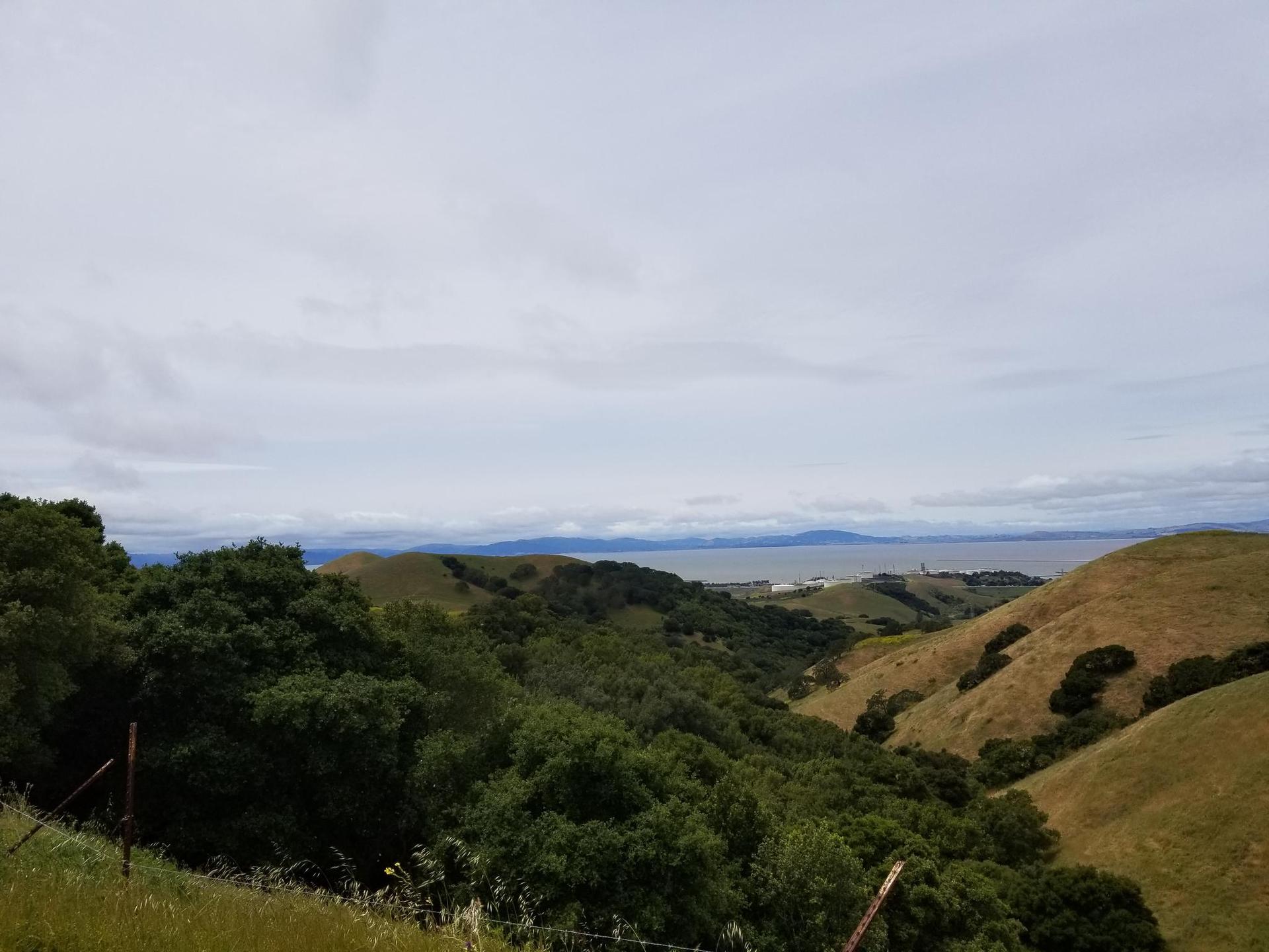 Overcast view of rolling hills, dense trees, and distant water.