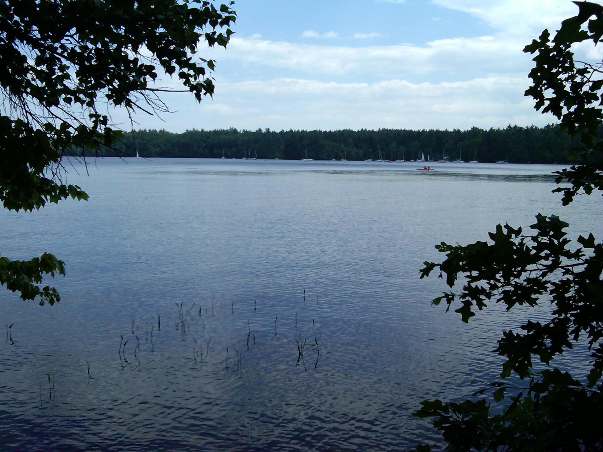 A wide lake view framed by dark tree branches under a blue sky.