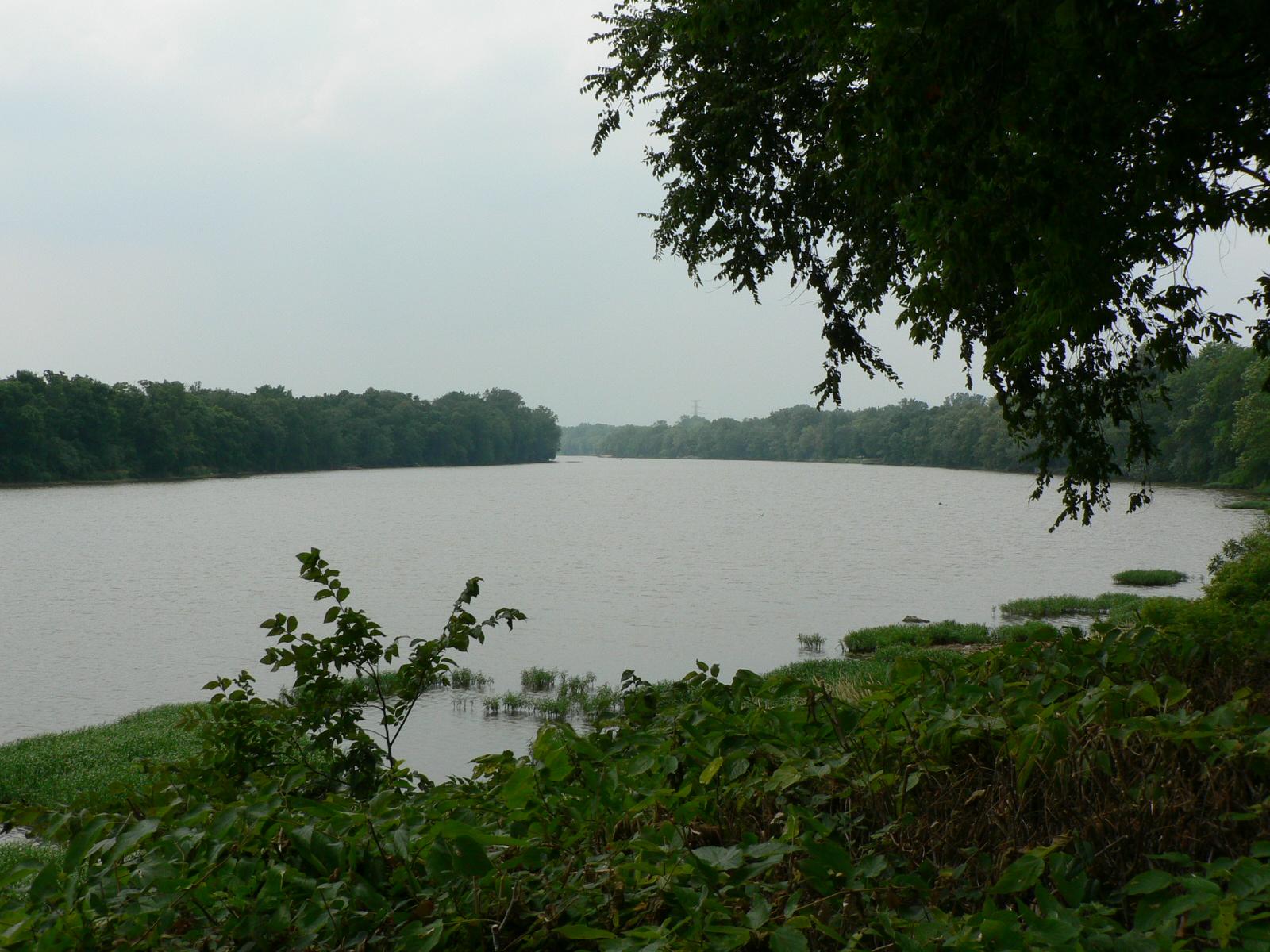 A wide river flows through dense green forests under a cloudy sky.