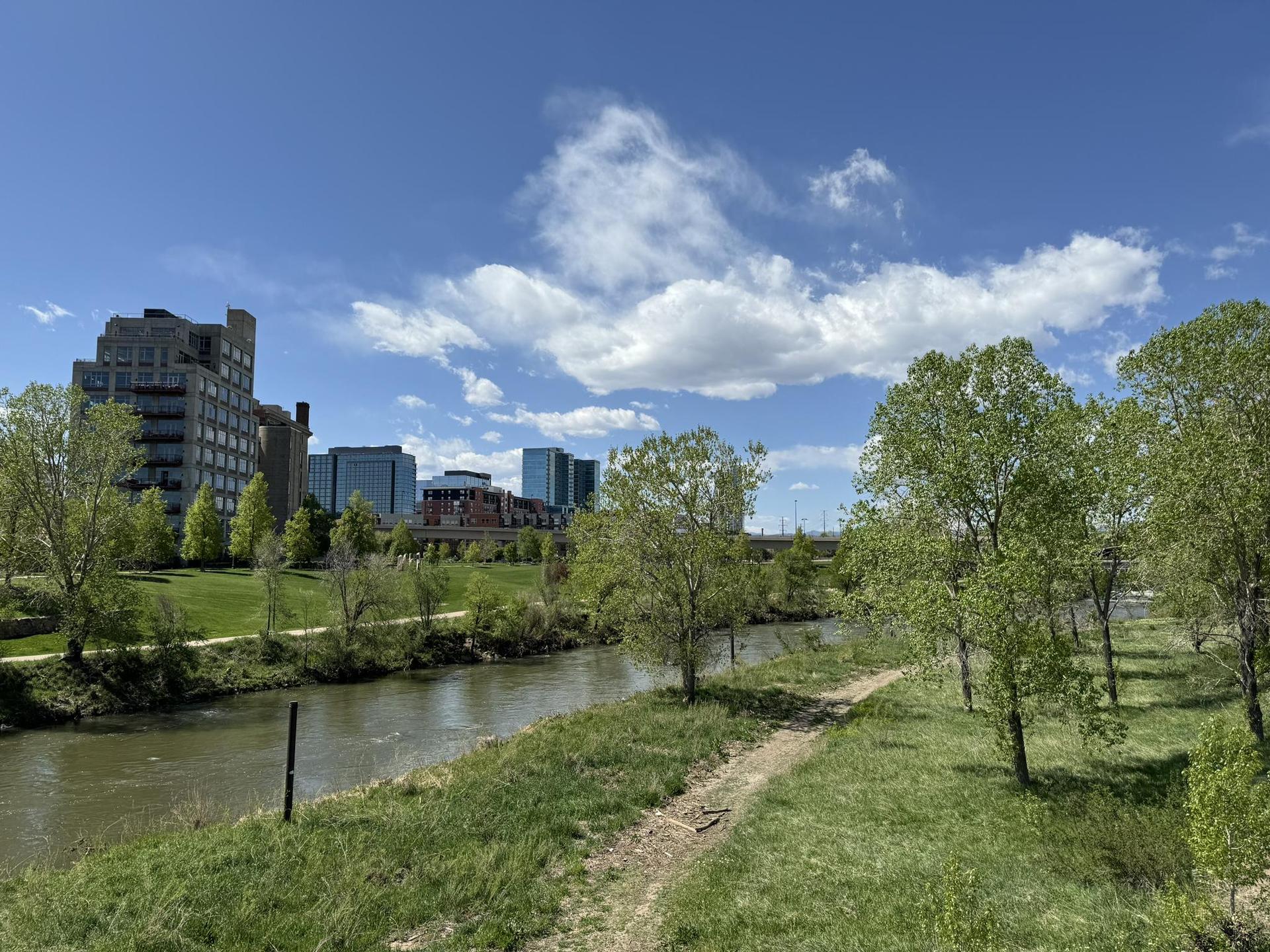 Sunny view of a river flowing past green banks and a city skyline.