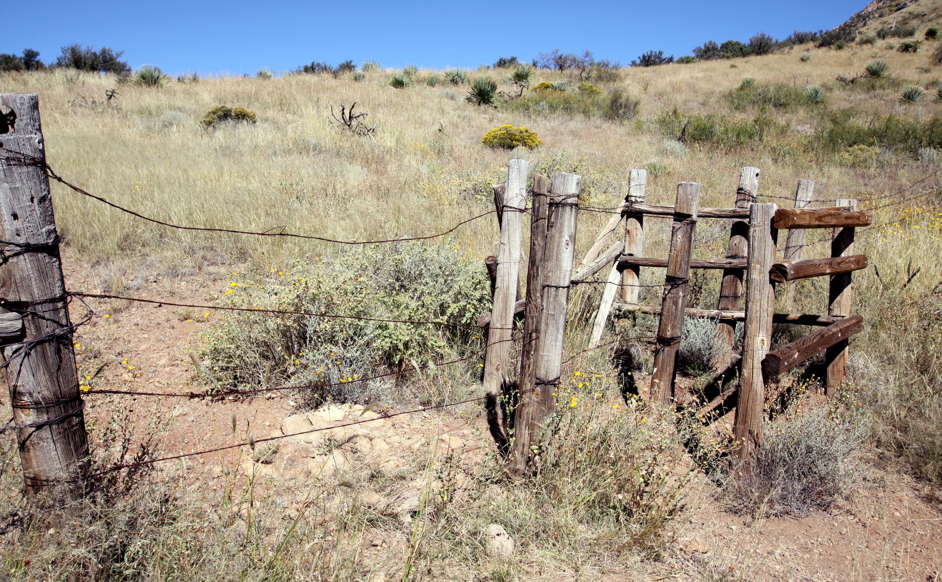 An old wooden fence and gate in a dry, grassy field under a clear sky.