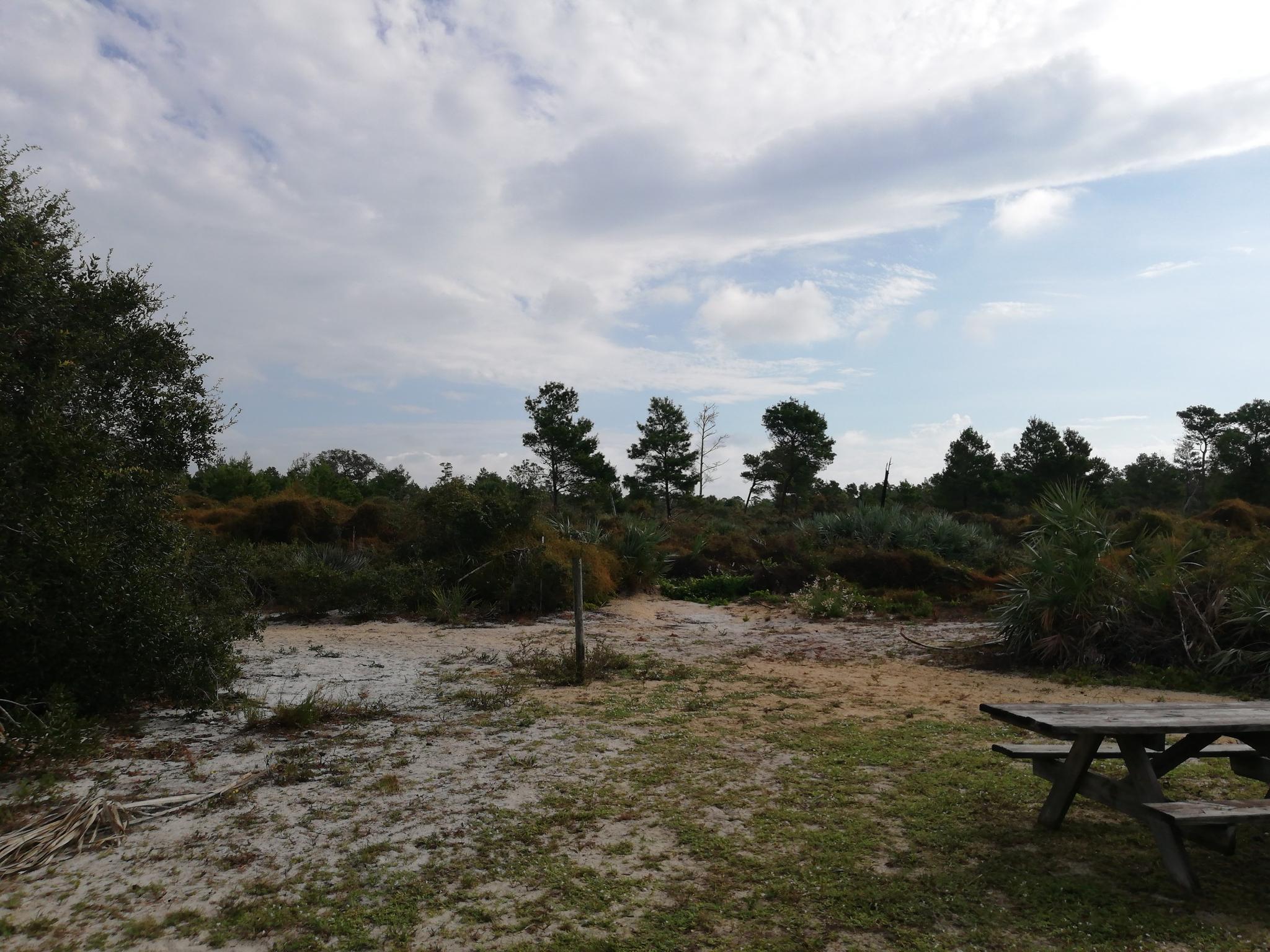 A sandy clearing with a wooden picnic table under a cloudy sky.