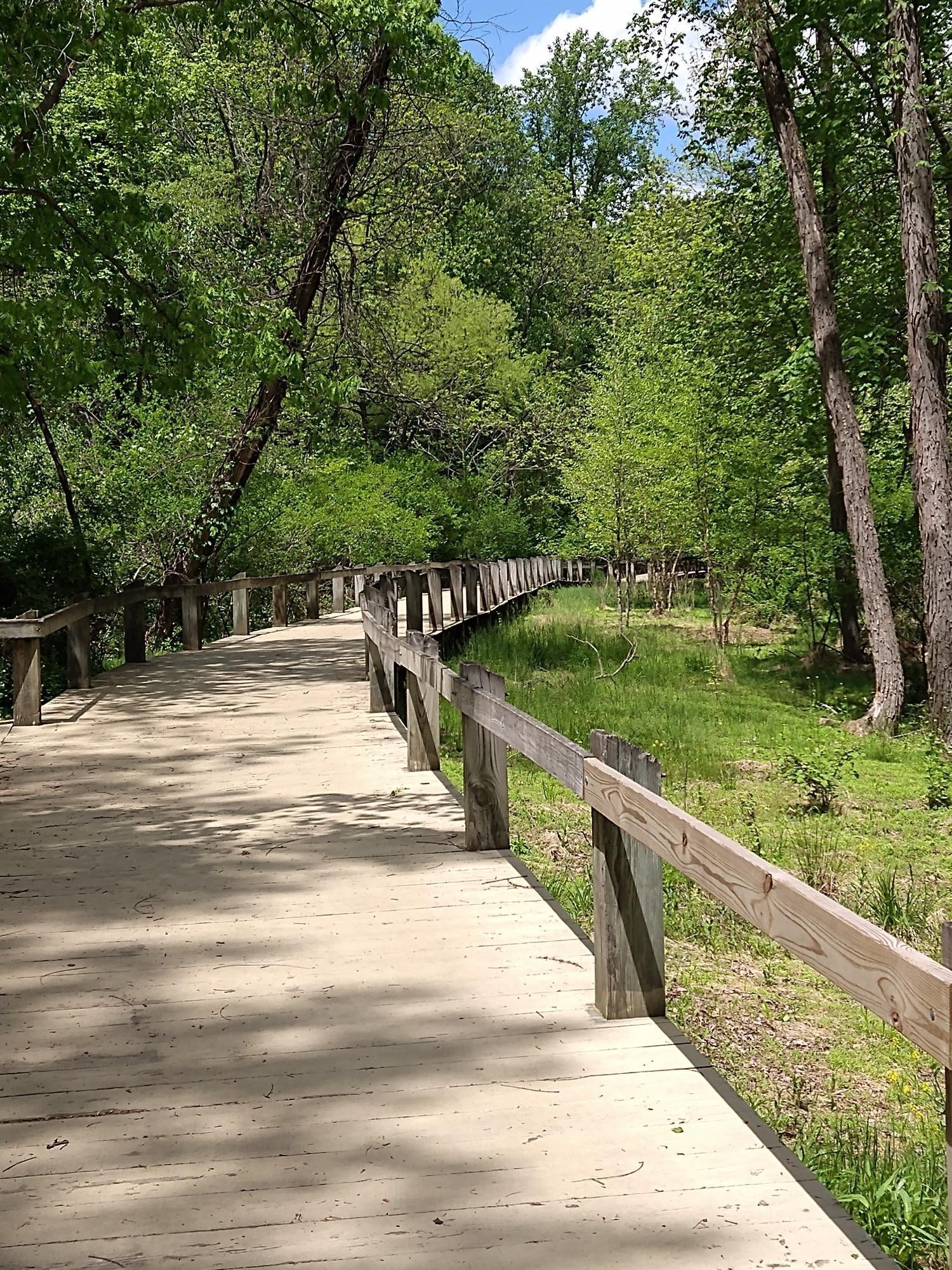 A wooden boardwalk curves through a lush green forest under dappled sunlight.