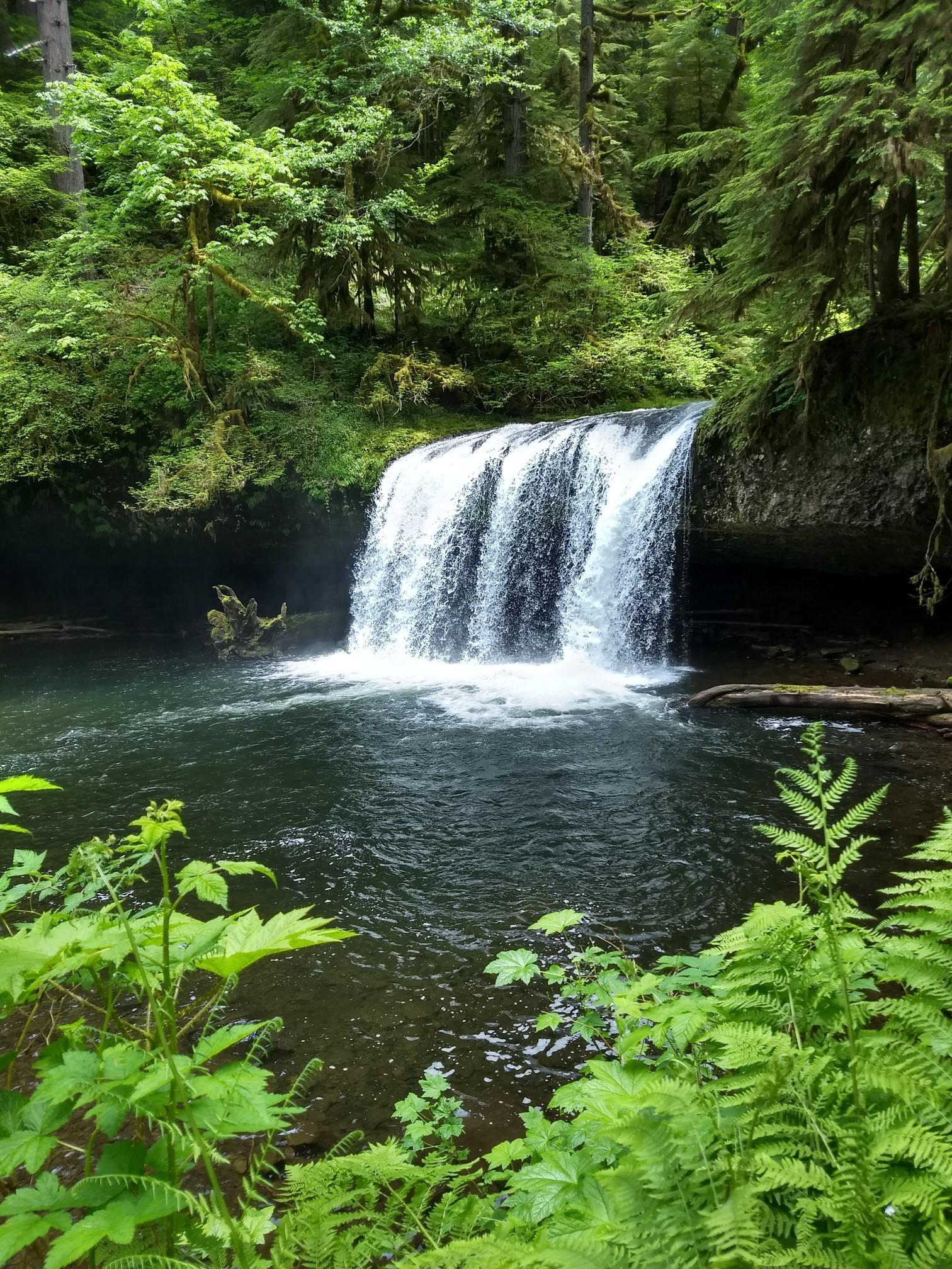 Wide waterfall cascades into a dark pool surrounded by lush green forest in daylight.