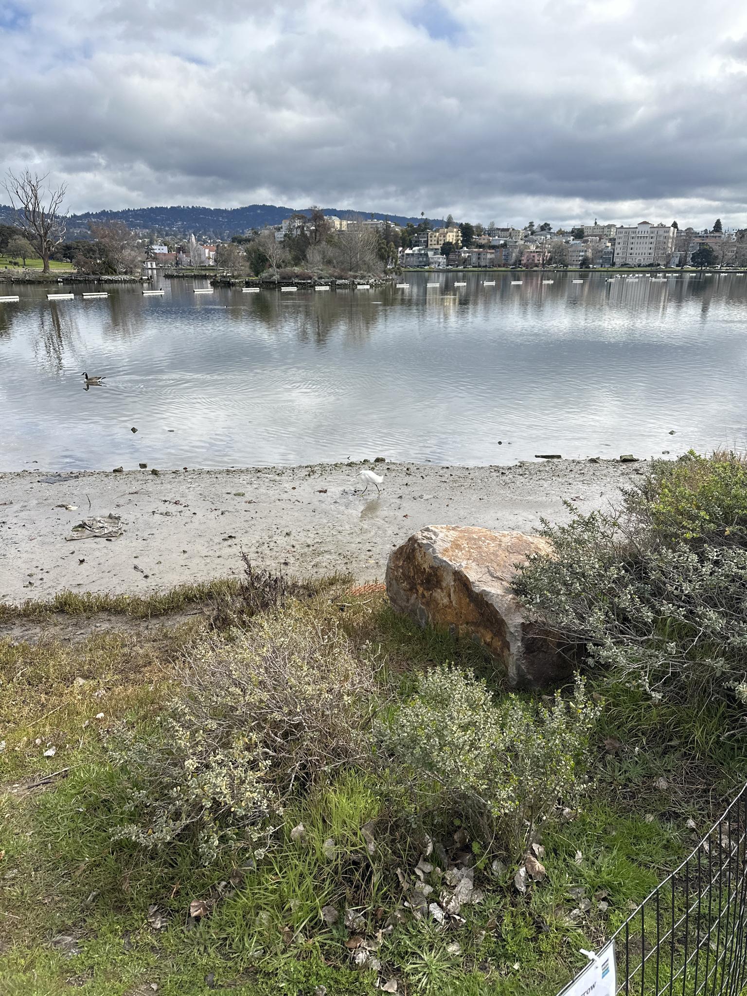 A rocky shore with green bushes, calm water, and a distant city under cloudy skies.