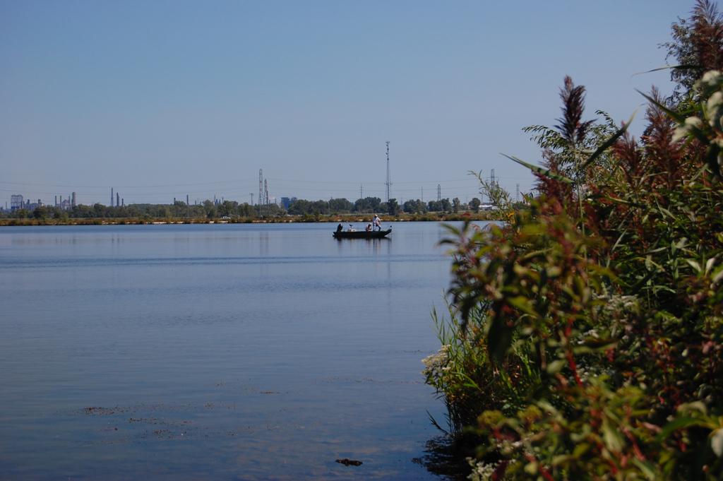 Small boat with people on a lake, green plants in foreground.
