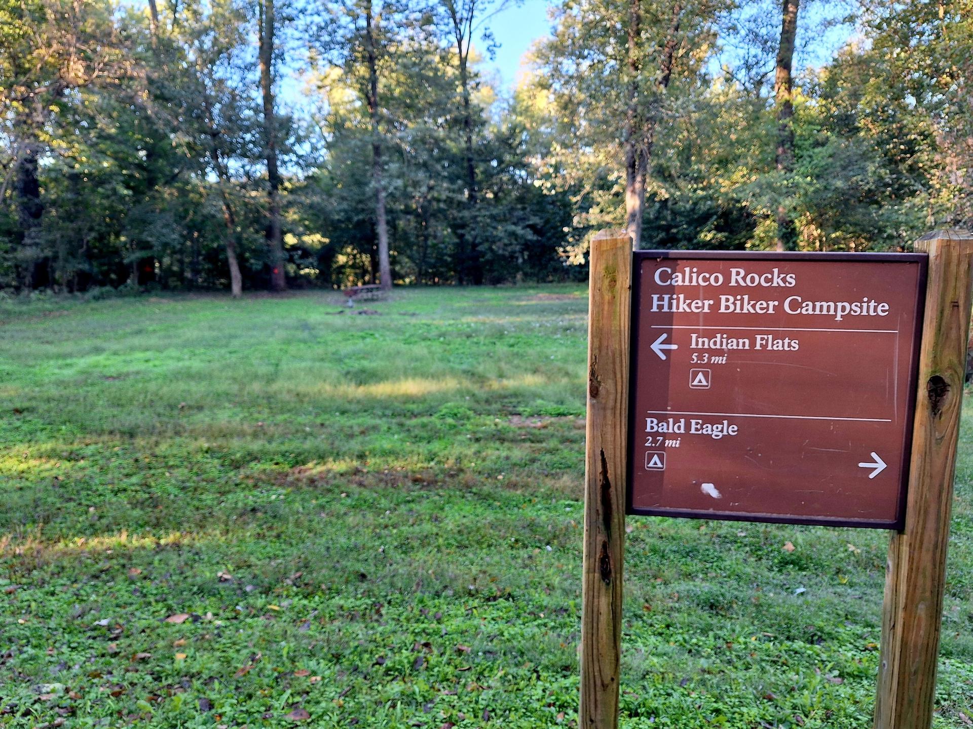 A brown wooden trail sign stands in a sunny grassy clearing with trees.