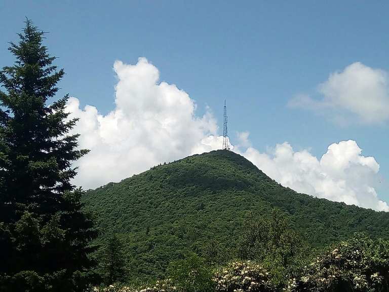 Shut-In Trail: North to South to Little Pisgah Mountain -- Pisgah ...