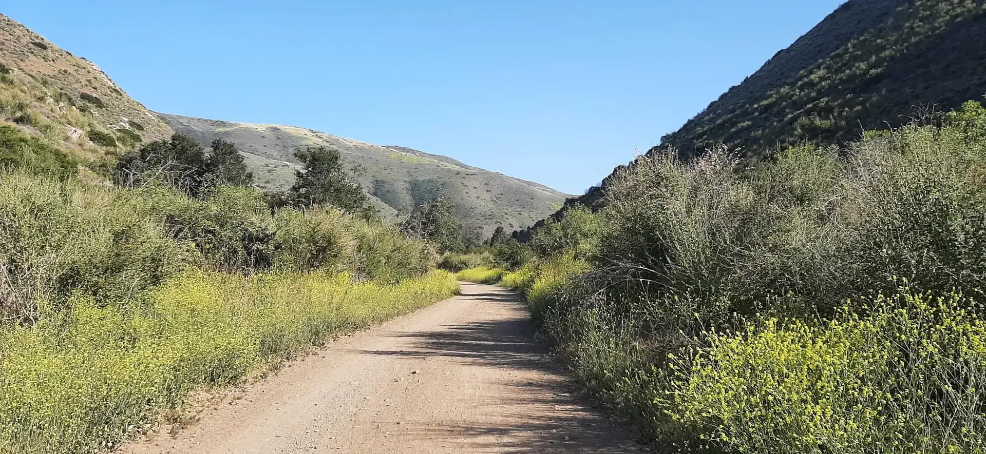 Sunny dirt road through a narrow valley with brush-covered hills.