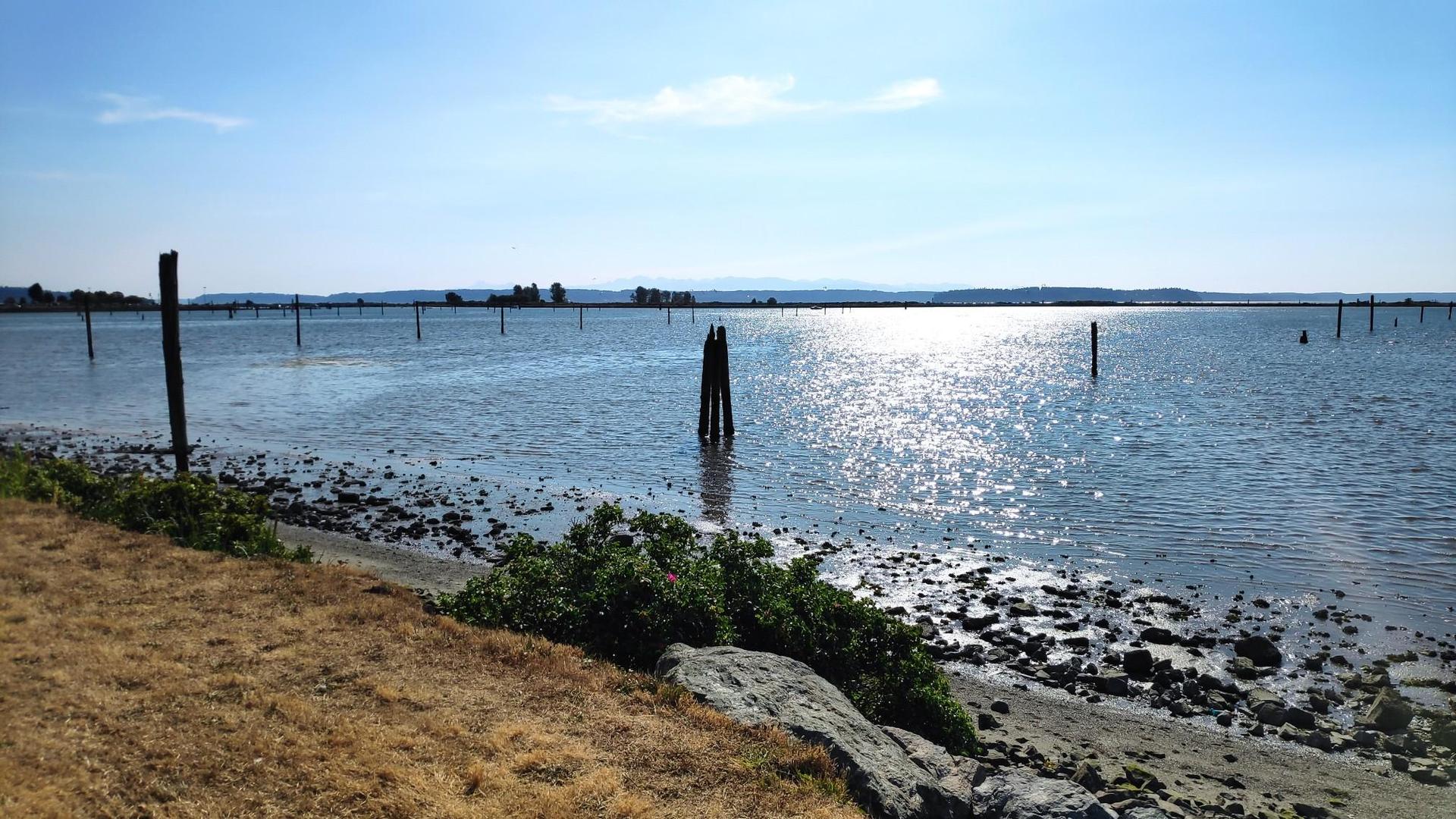 Sunlight glints on water with wooden posts, rocky shore, and distant hills.