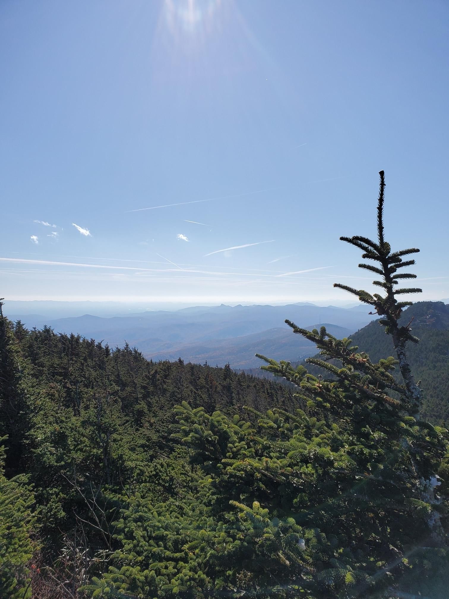 Bright sunny view of an evergreen tree and layered distant mountains. - Grandfather Trail