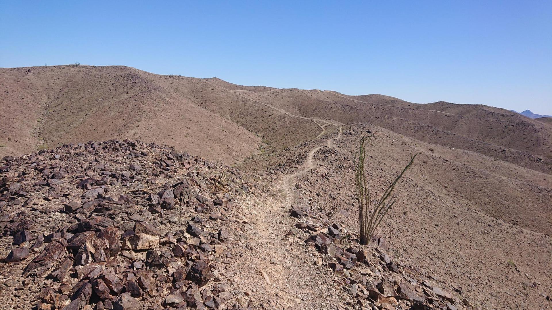 A narrow dirt trail follows a rocky desert ridge under a bright blue sky.
