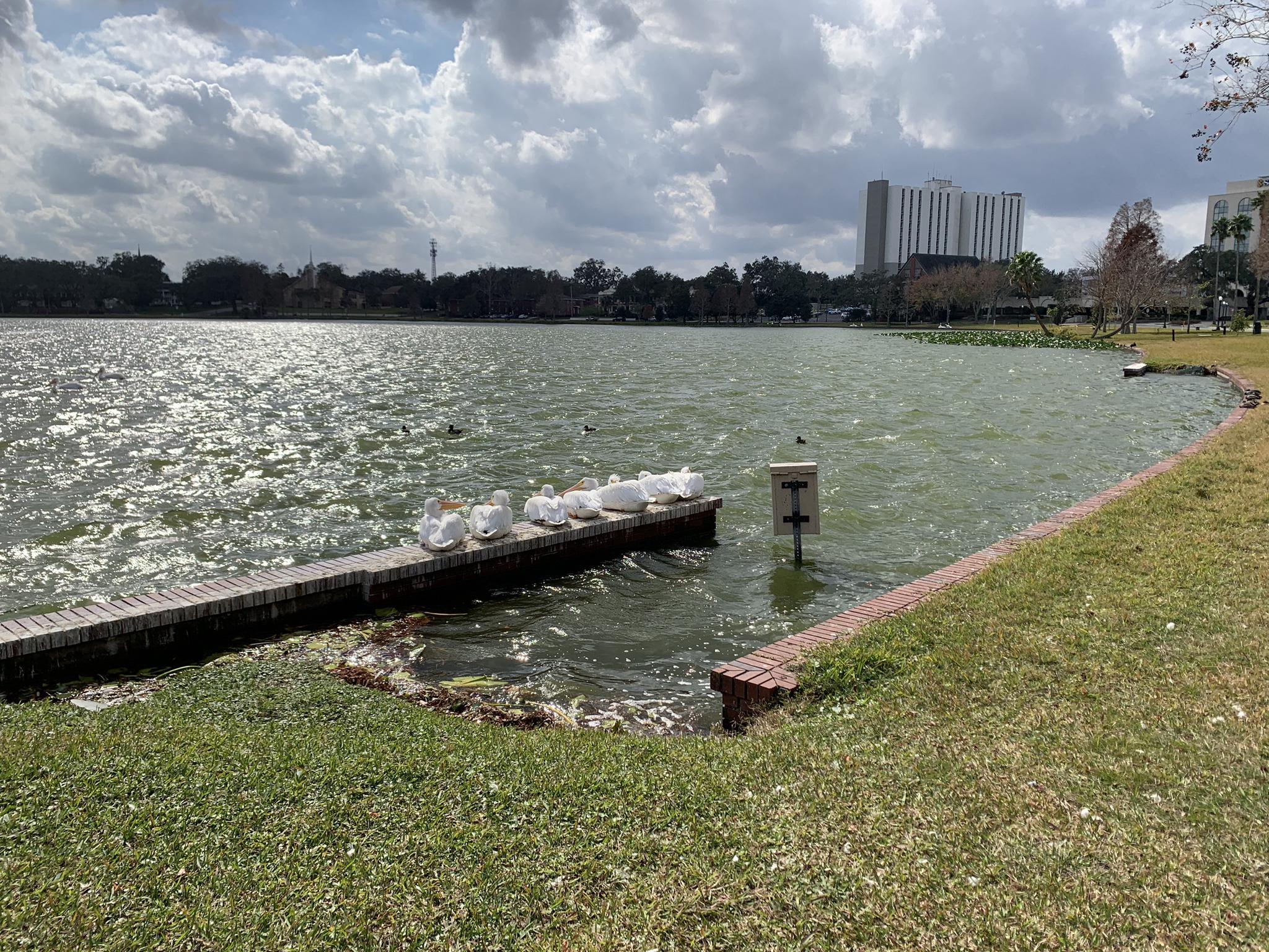 Several white swans resting on a brick dock by a shimmering lake.