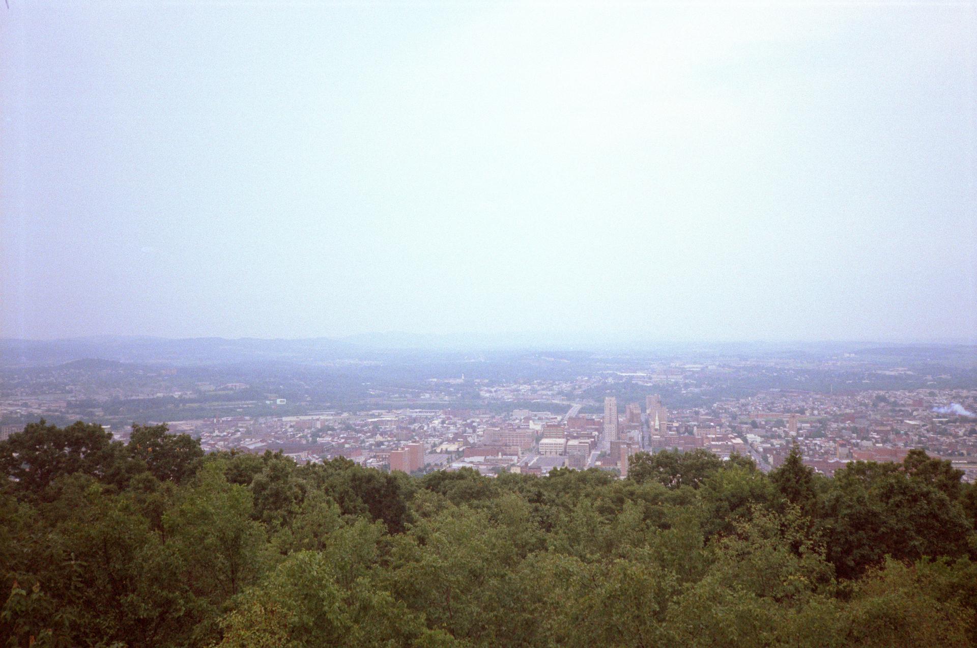 Overcast aerial view of a sprawling city beyond a dense green forest.