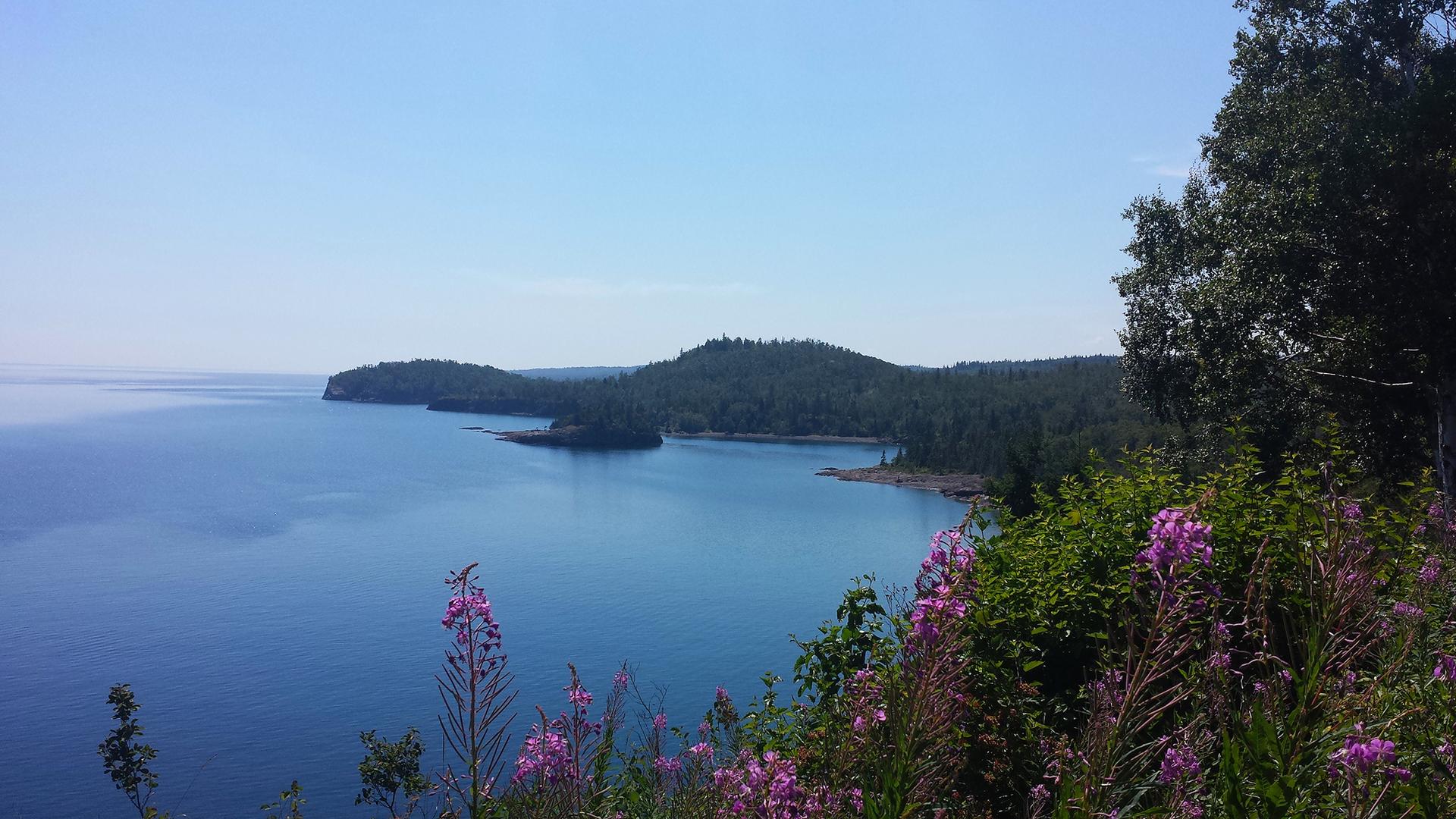 Blue water, forested islands, and purple wildflowers on a bright, clear day.