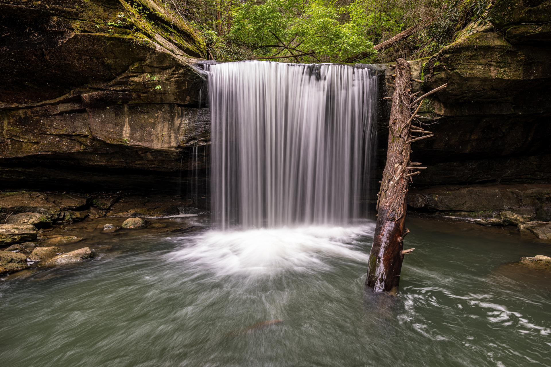 Serene waterfall cascades into a pool with a fallen tree trunk.
