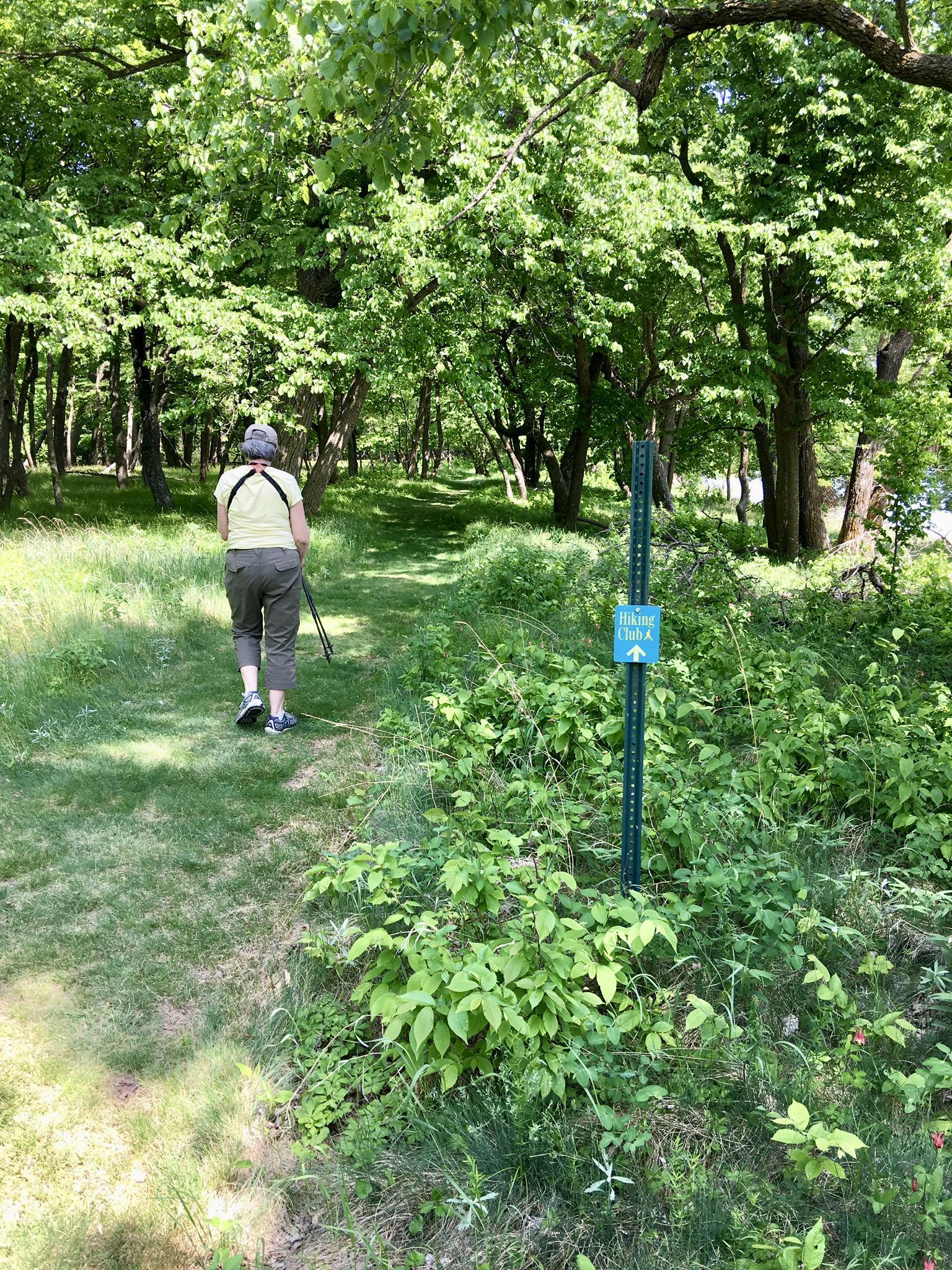 A person walks on a grassy path through a dense green forest.