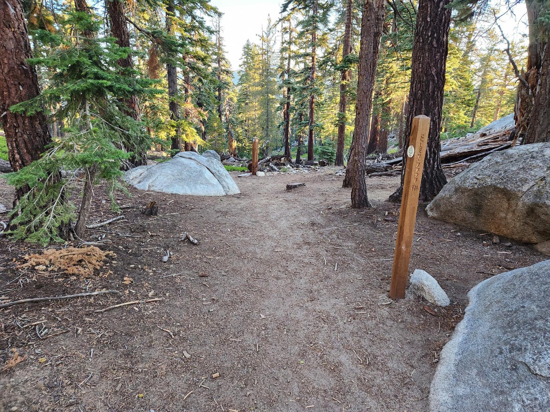 A dirt trail winds through a sun-dappled forest with large boulders.