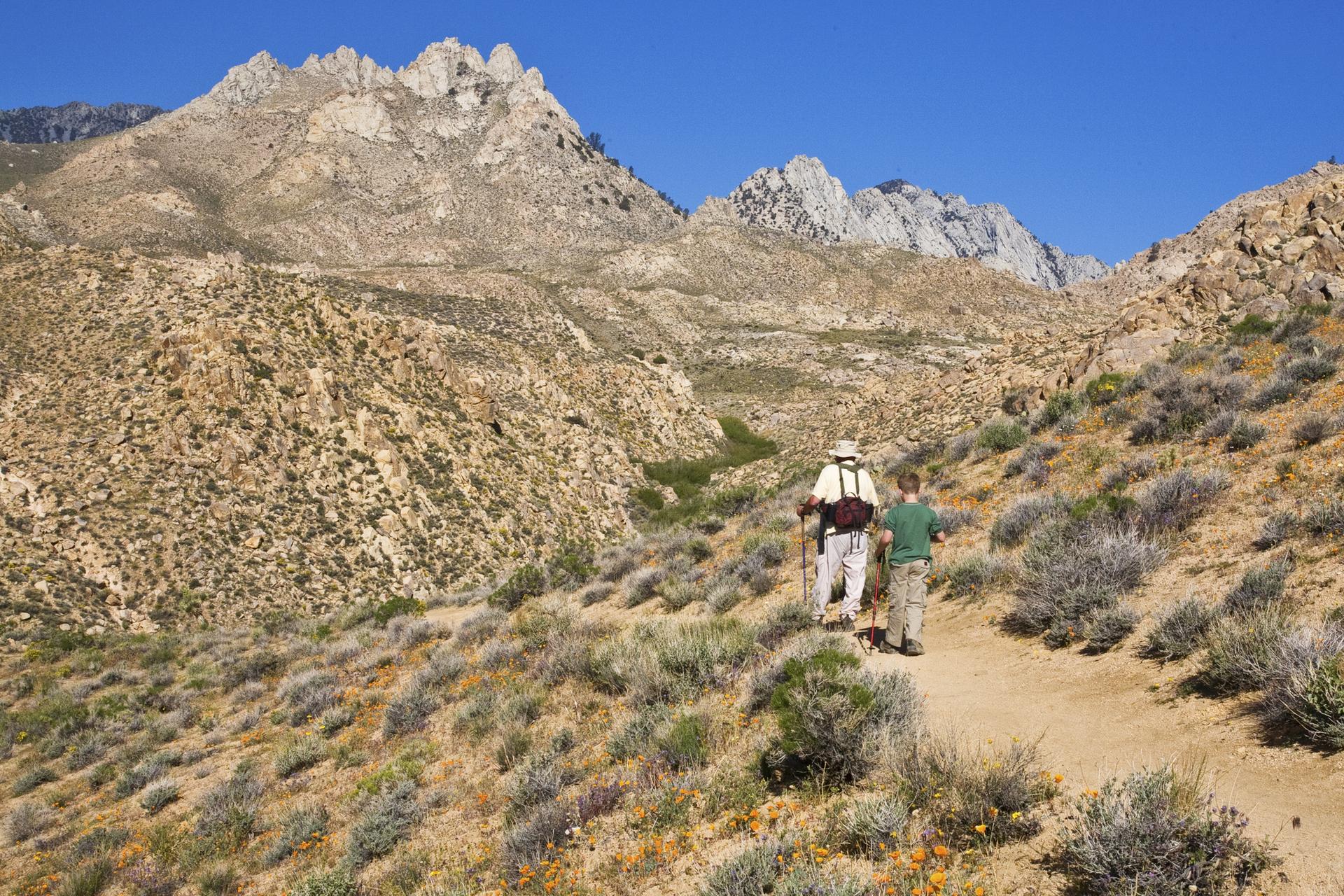 Two hikers ascend a dirt path through arid, rocky mountains under a clear sky.