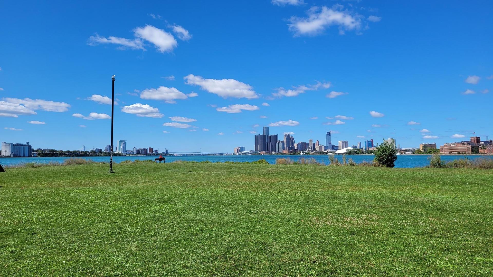 Sunny green field overlooking a distant city skyline across blue water.