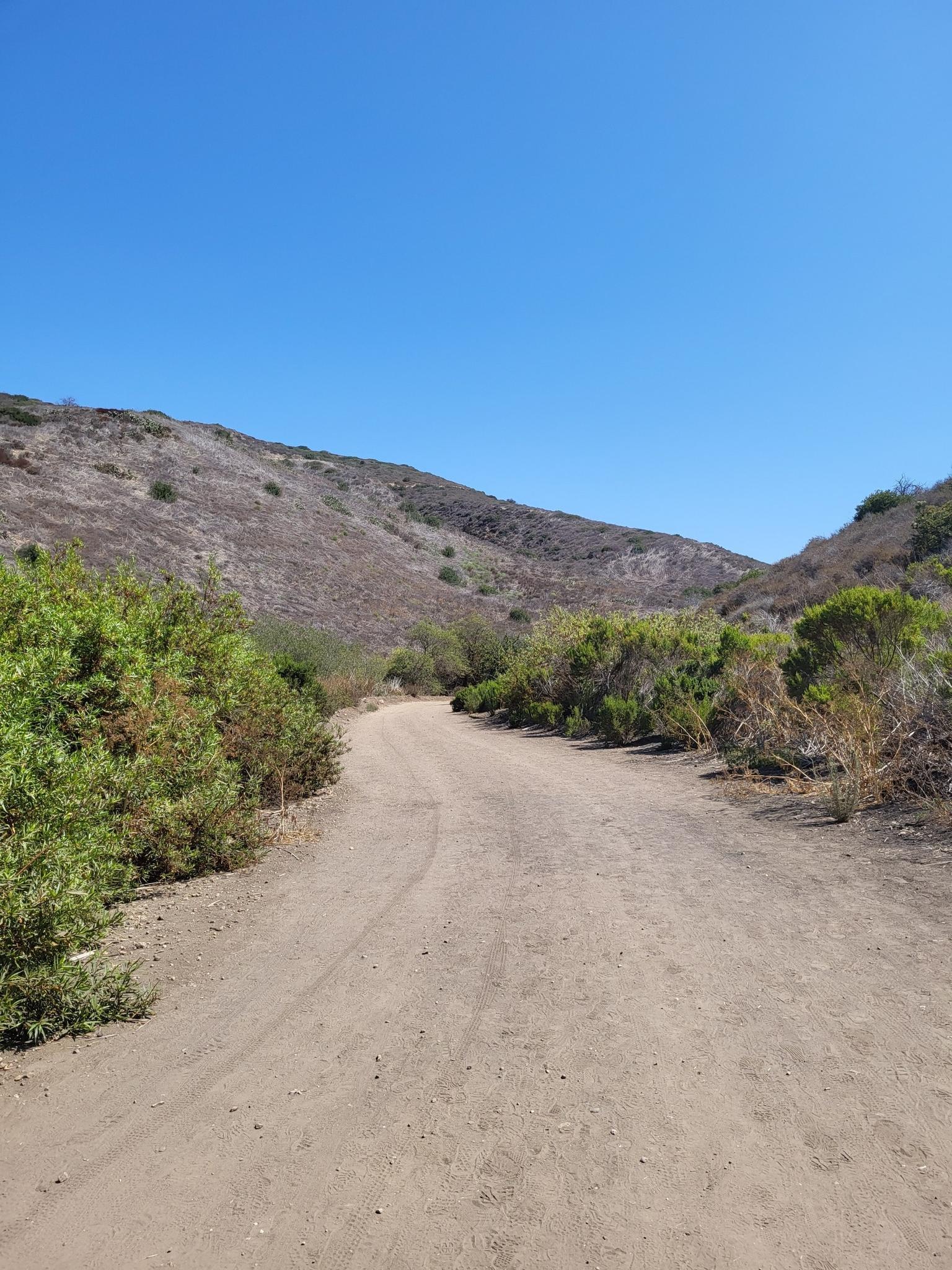 A dirt road winds through dry hills and green bushes under a clear sky.