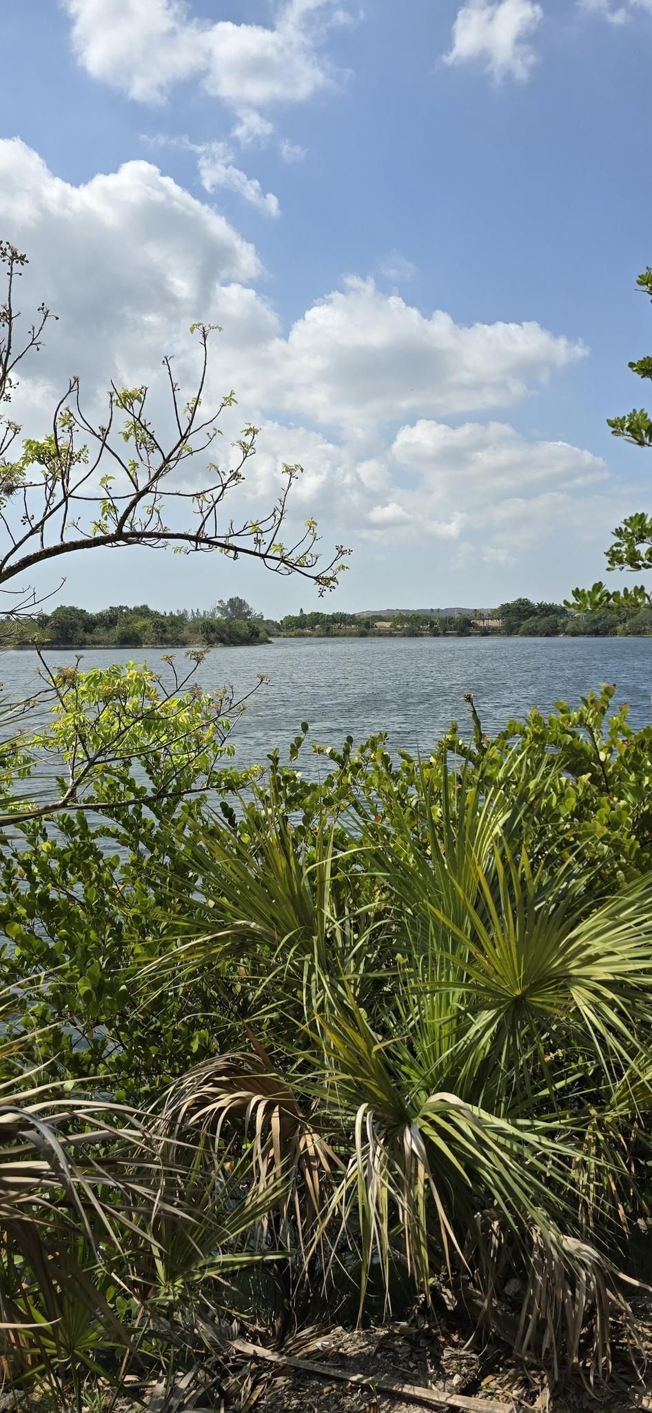 A scenic lake viewed through green foliage under a bright, cloudy sky. - Quiet Waters Park Paved Path