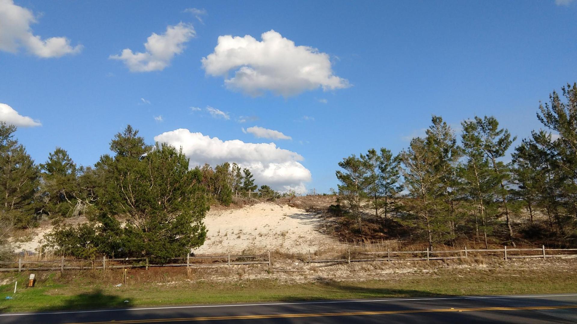 A sandy hill with pine trees and a fence under a bright blue sky with clouds.