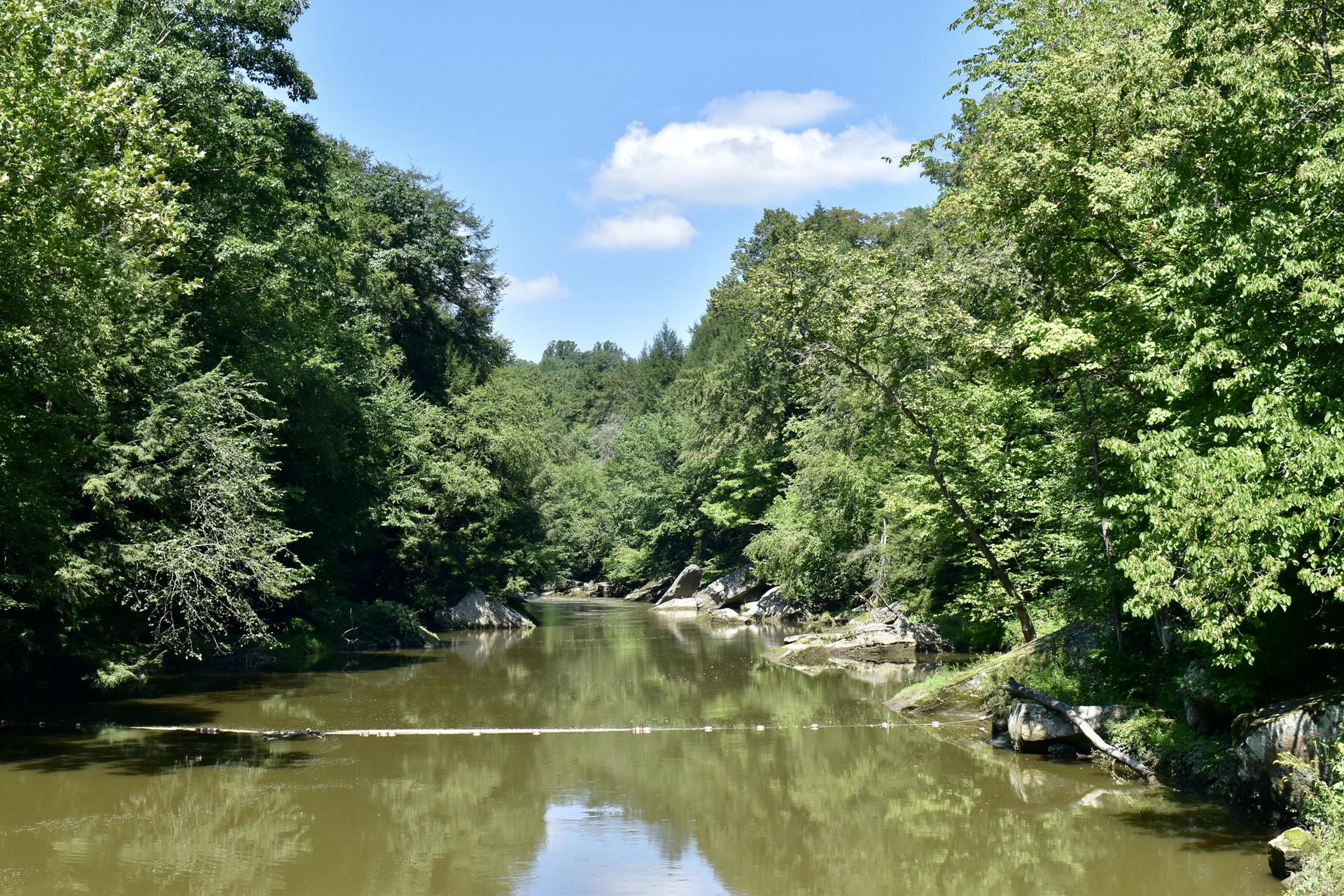 A wide, calm river flows through a vibrant green forest under a blue sky.