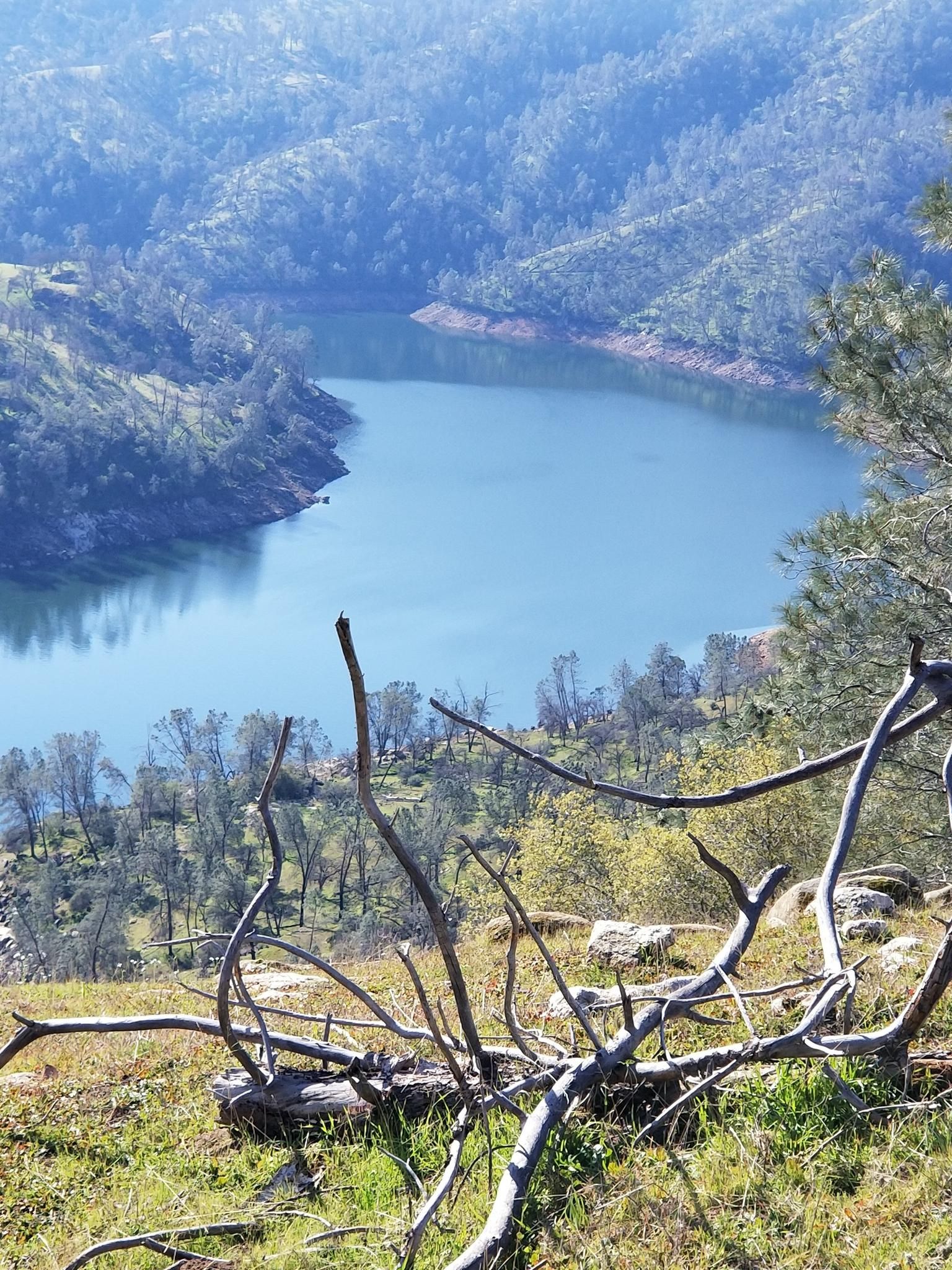 A winding river flows through forested hills under bright sunlight, with branches in foreground. - Pincushion Peak Trail