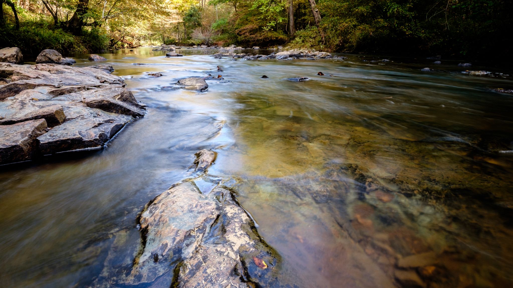 A clear river flows over rocks through a sunlit forest. - Laurel Bluffs Trail