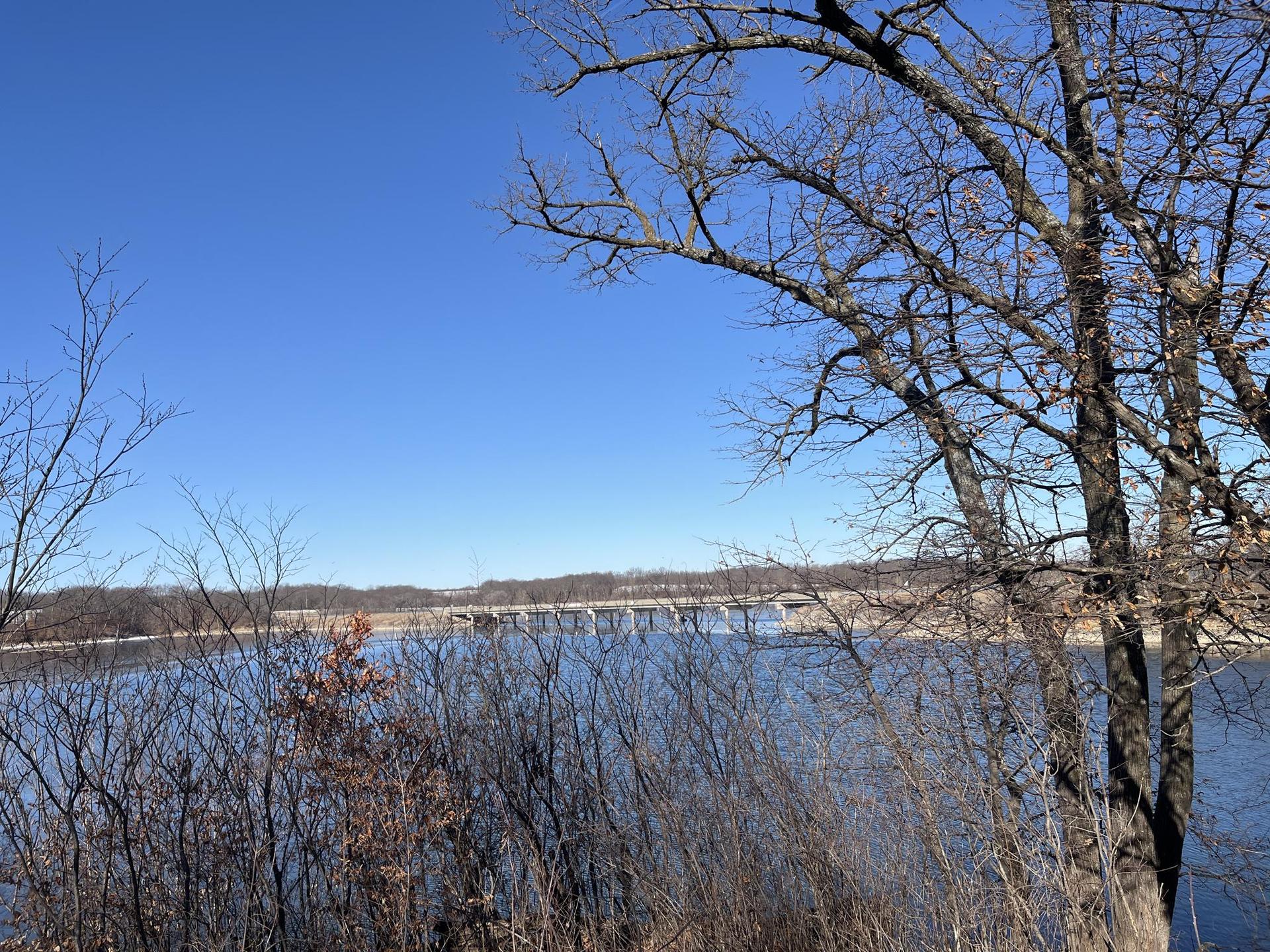 Bare trees frame a wide lake with a distant bridge under a clear blue sky.