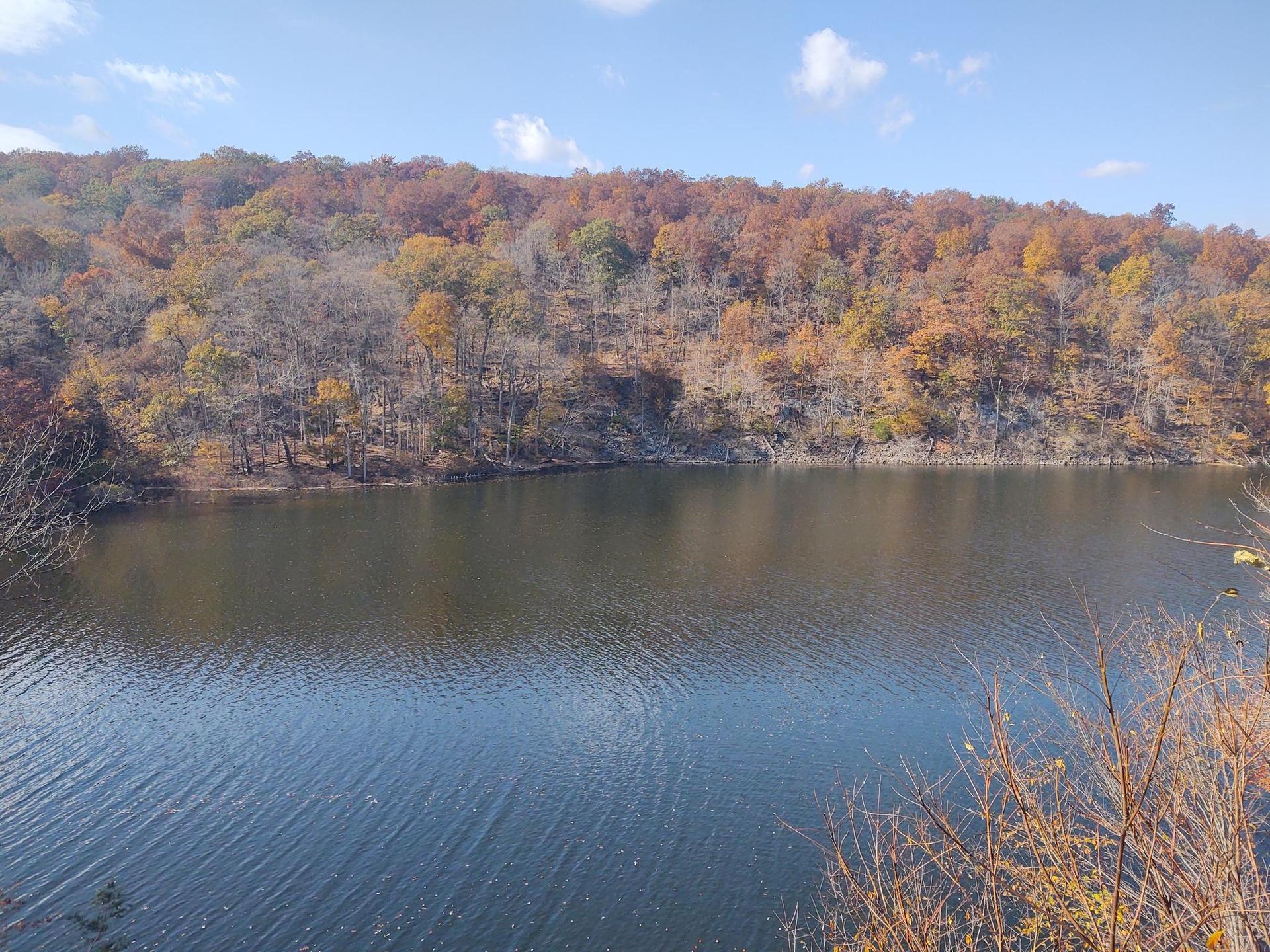 Forested hillside with autumn foliage overlooks a rippling lake on a clear day.