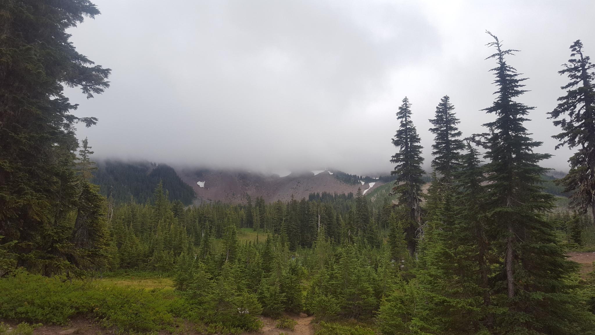 Overcast mountain landscape with dense evergreen forest and cloudy peaks.