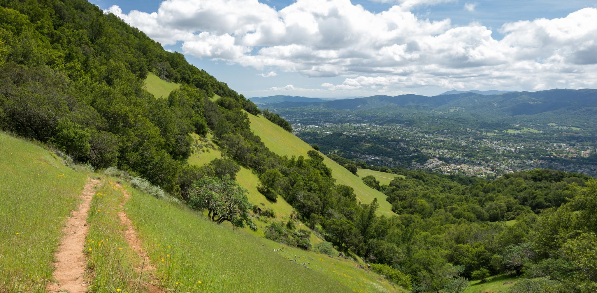 A dirt path on a steep green hillside overlooks a vast valley.
