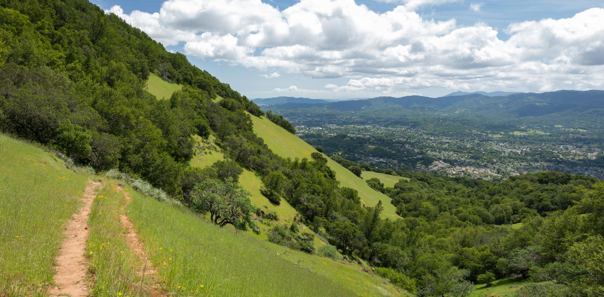A dirt path on a steep green hillside overlooks a vast valley.
