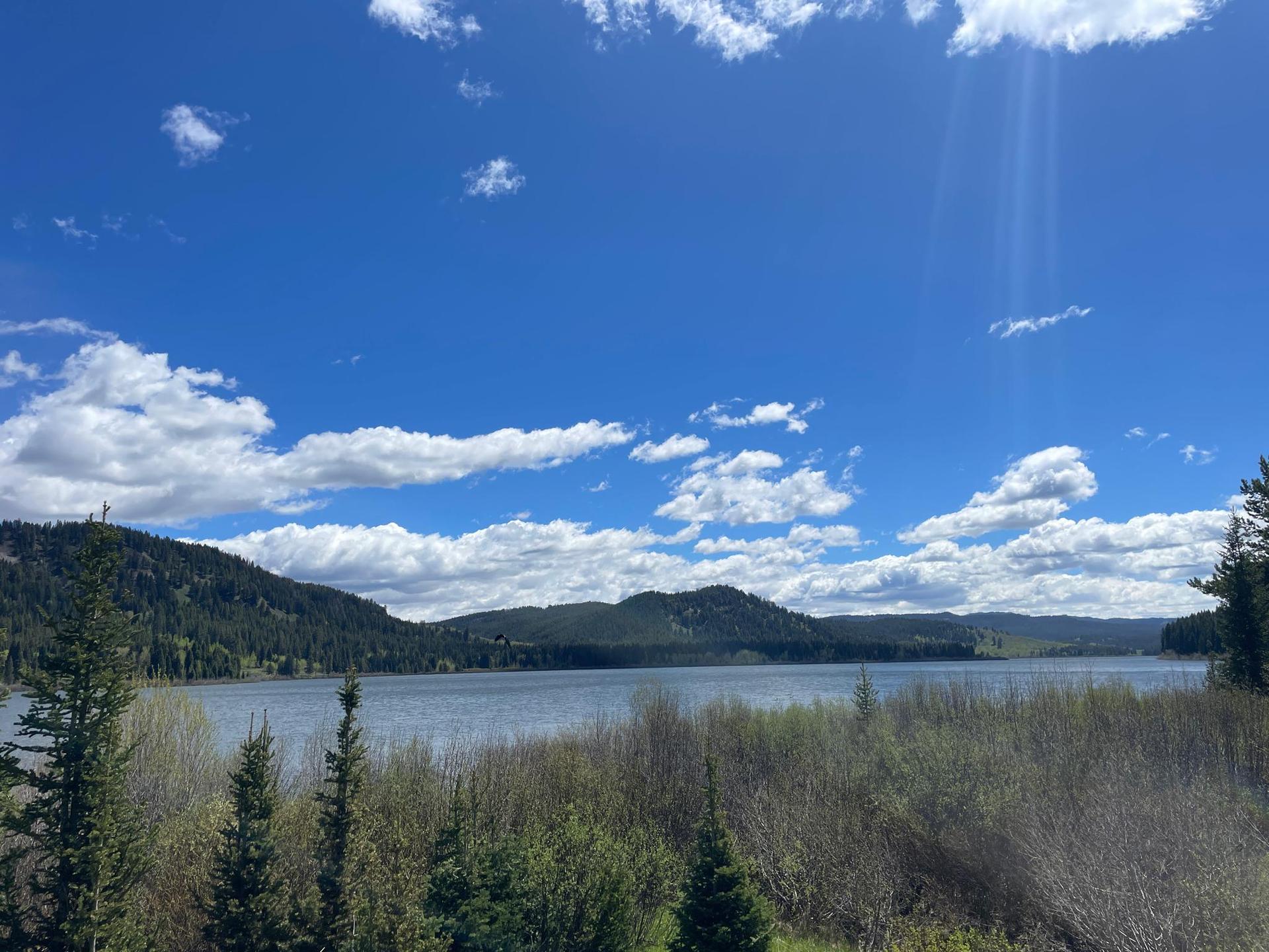 Large lake surrounded by green forested hills under a bright blue sky with clouds.