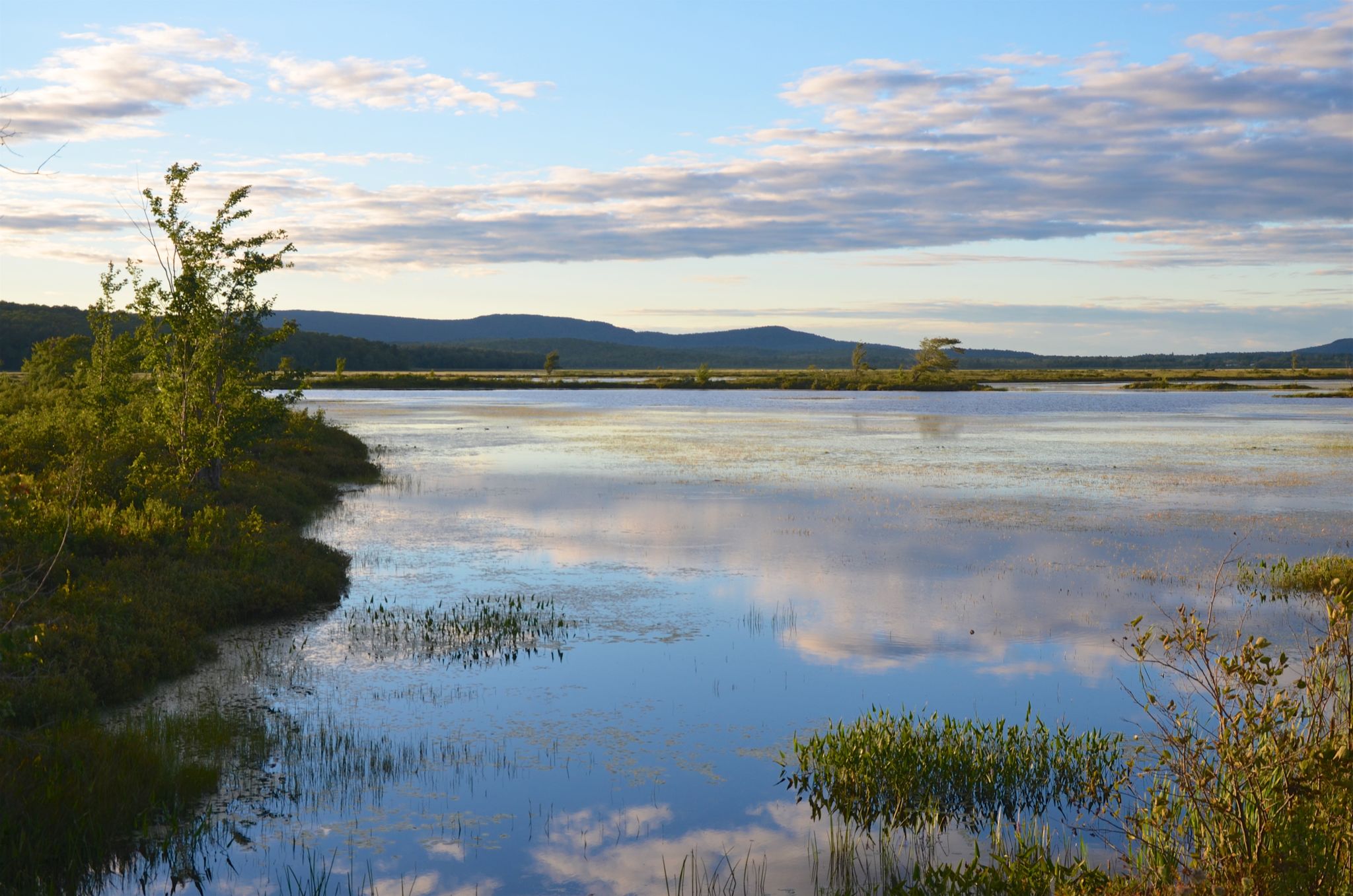 Calm wetland reflecting a partly cloudy sky with distant hills at sunset. - Long Lake to Tupper Lake loop