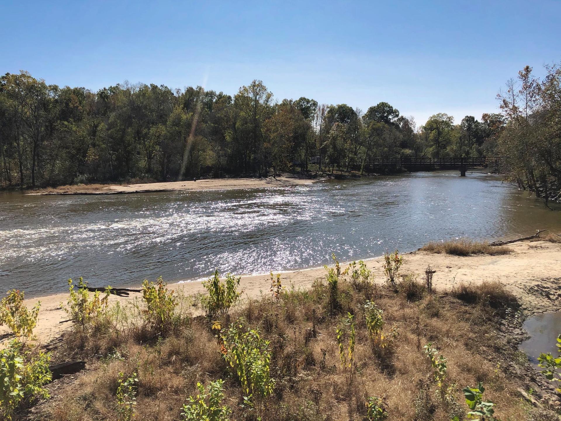 Wide river with sandy banks, dense green trees, and a distant bridge under sunny skies.