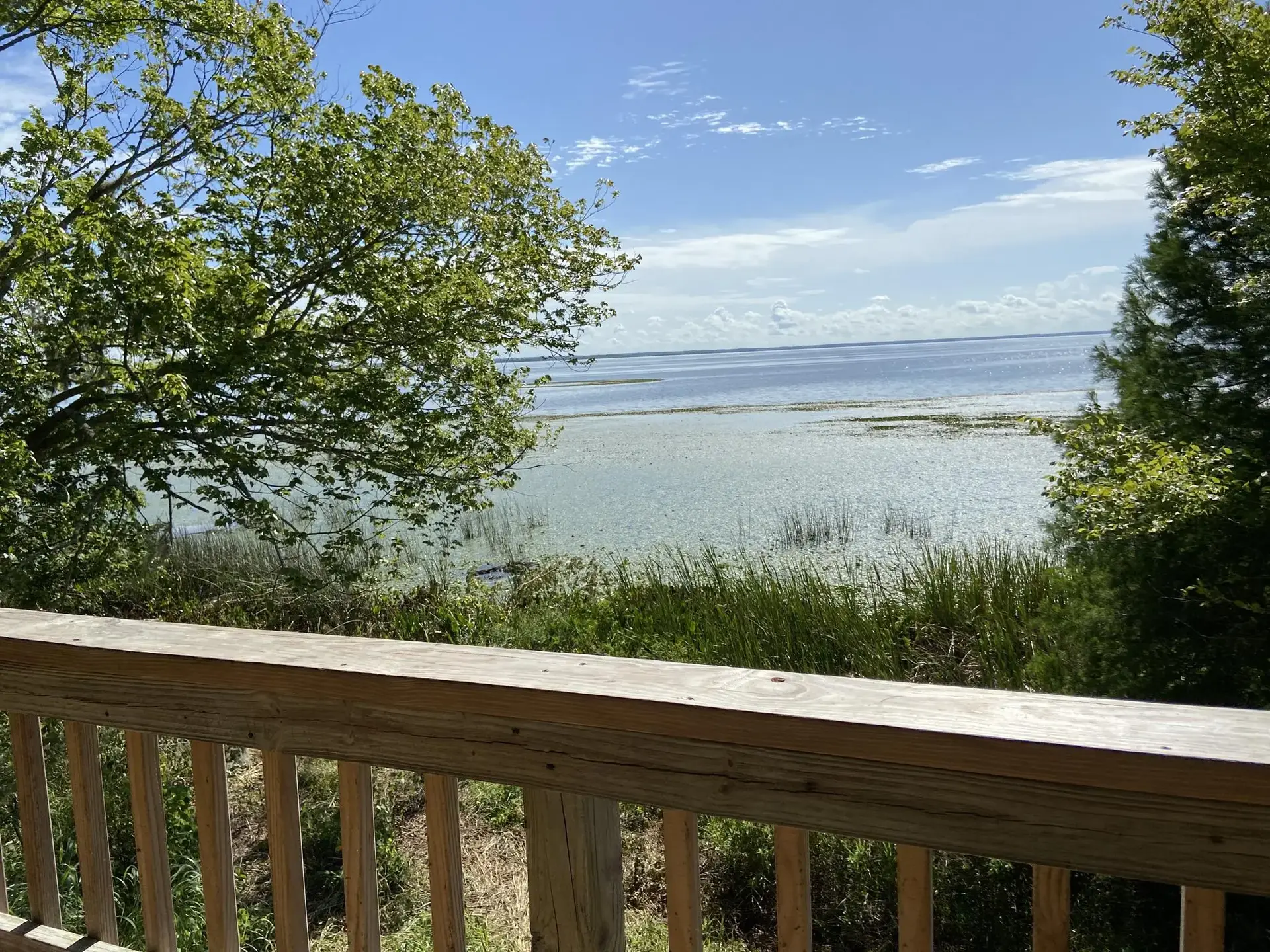 View of a wide, reedy lake from a wooden deck on a sunny day.