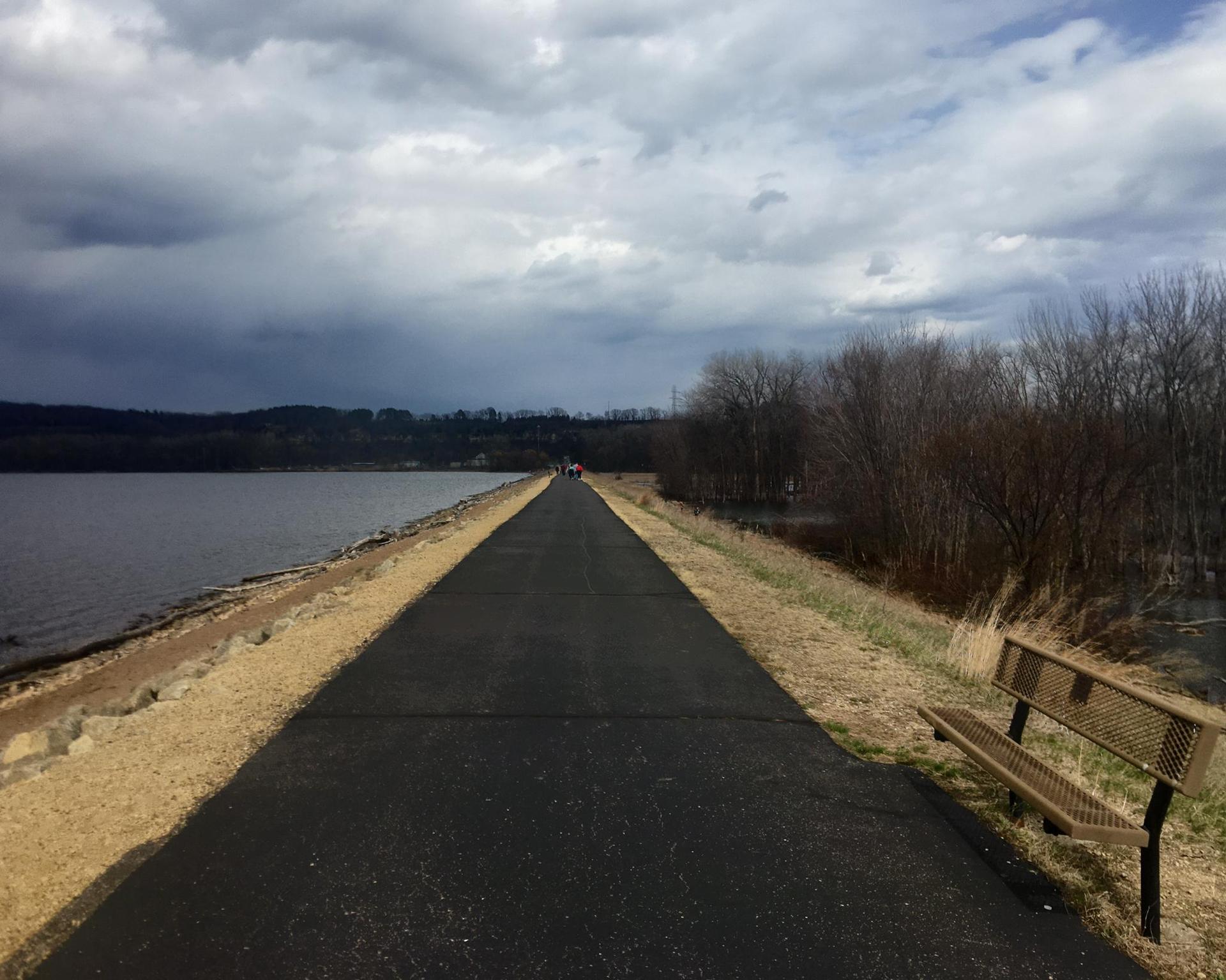 Paved path next to dark water and bare trees under a cloudy sky.