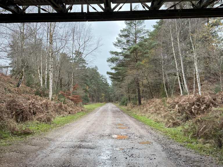 Longmoor Ranges Fire Roads – Cycling Routes & How to Get There | Komoot