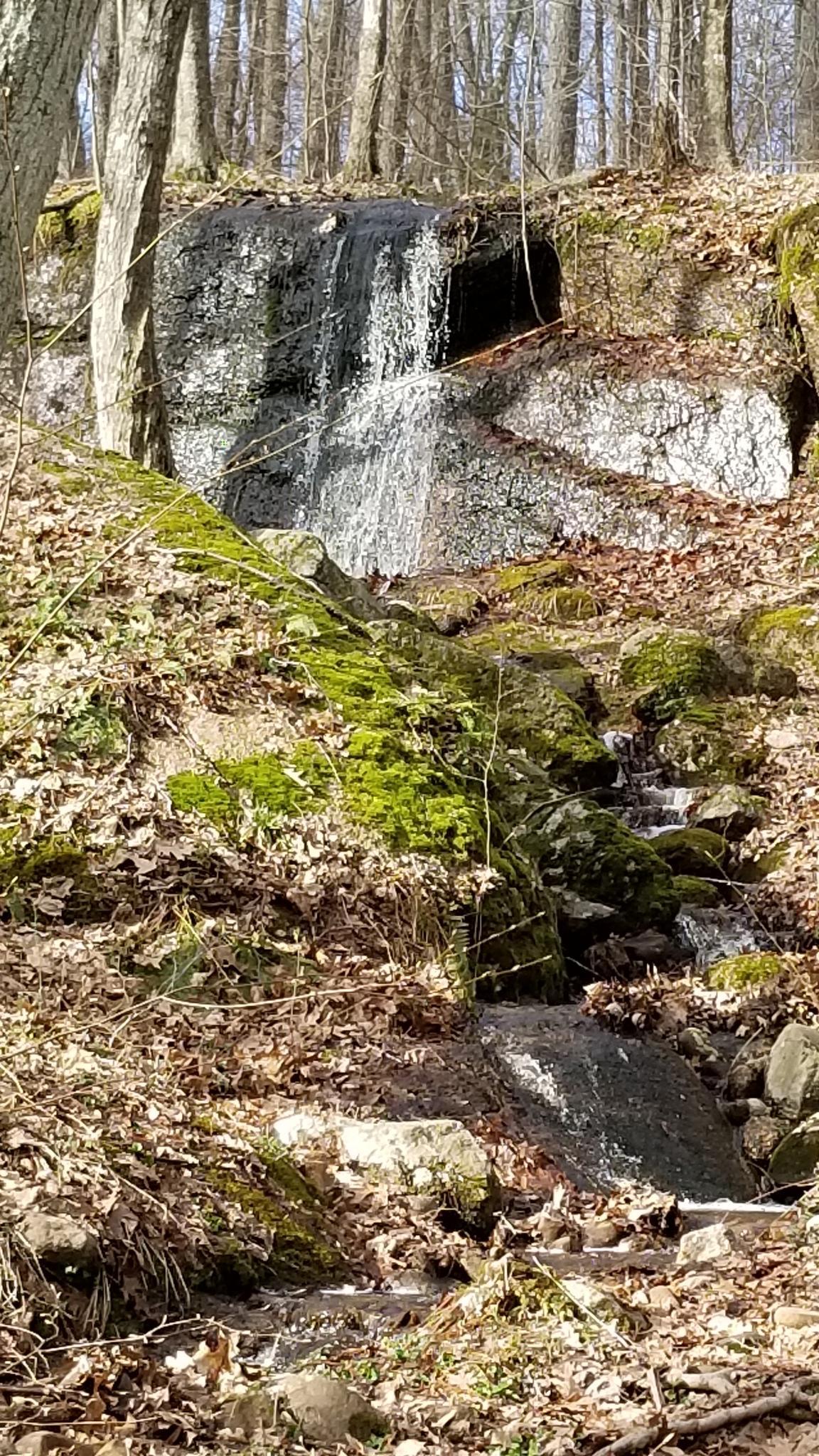 Small waterfall cascading over mossy rocks in a sunlit forest.