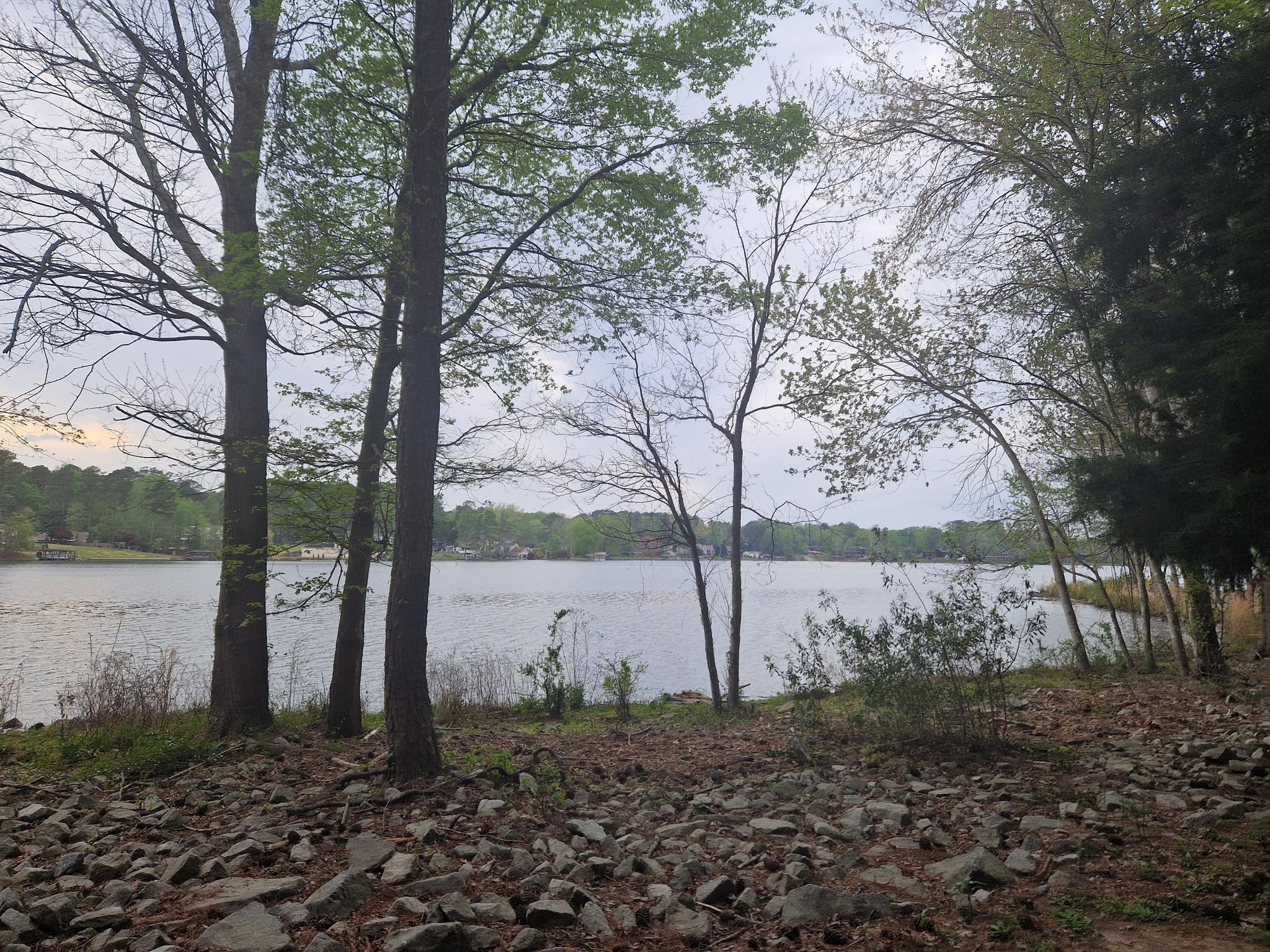 Lake seen through tall trees with new leaves, rocky ground in foreground.