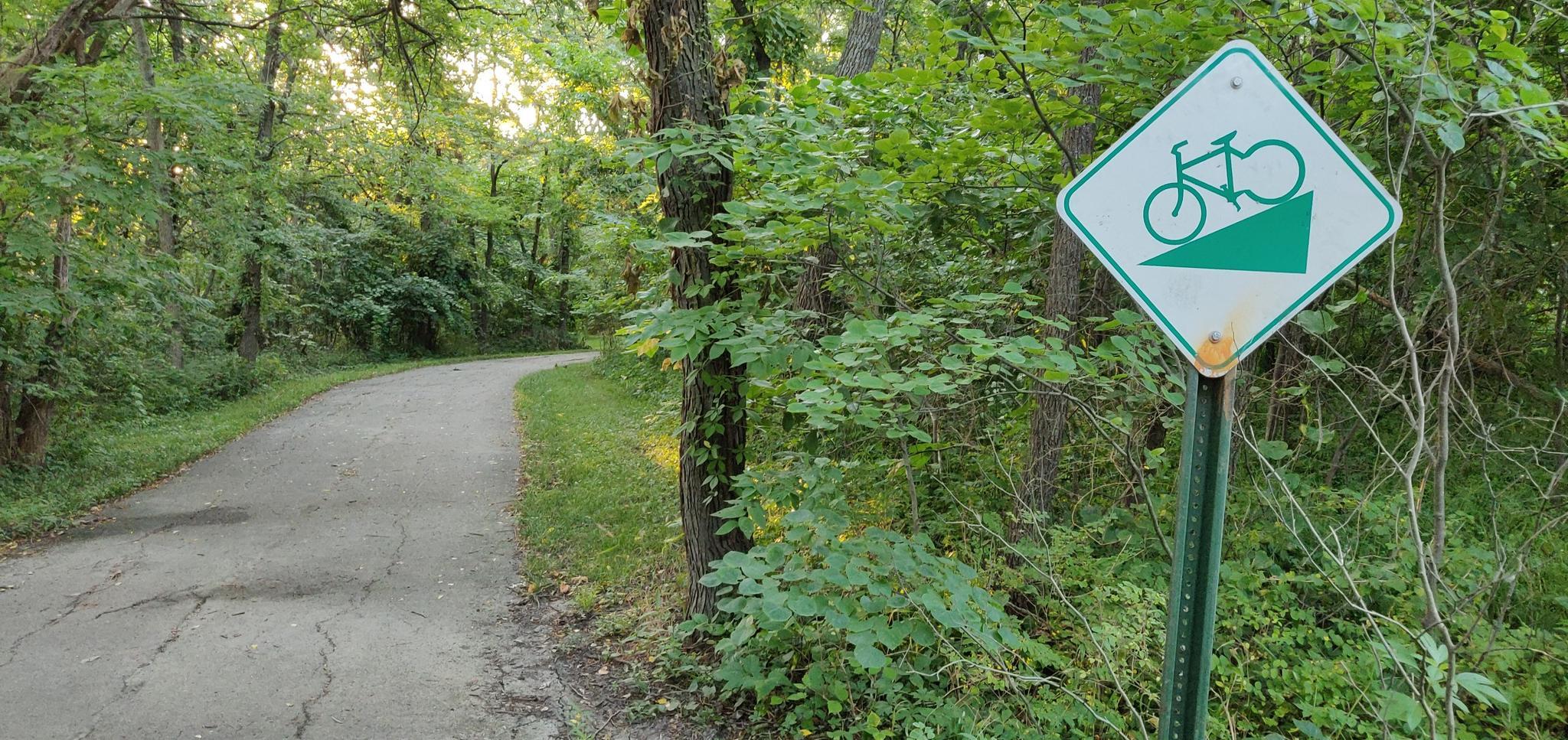 A bicycle sign stands beside a winding paved path through a dense forest.