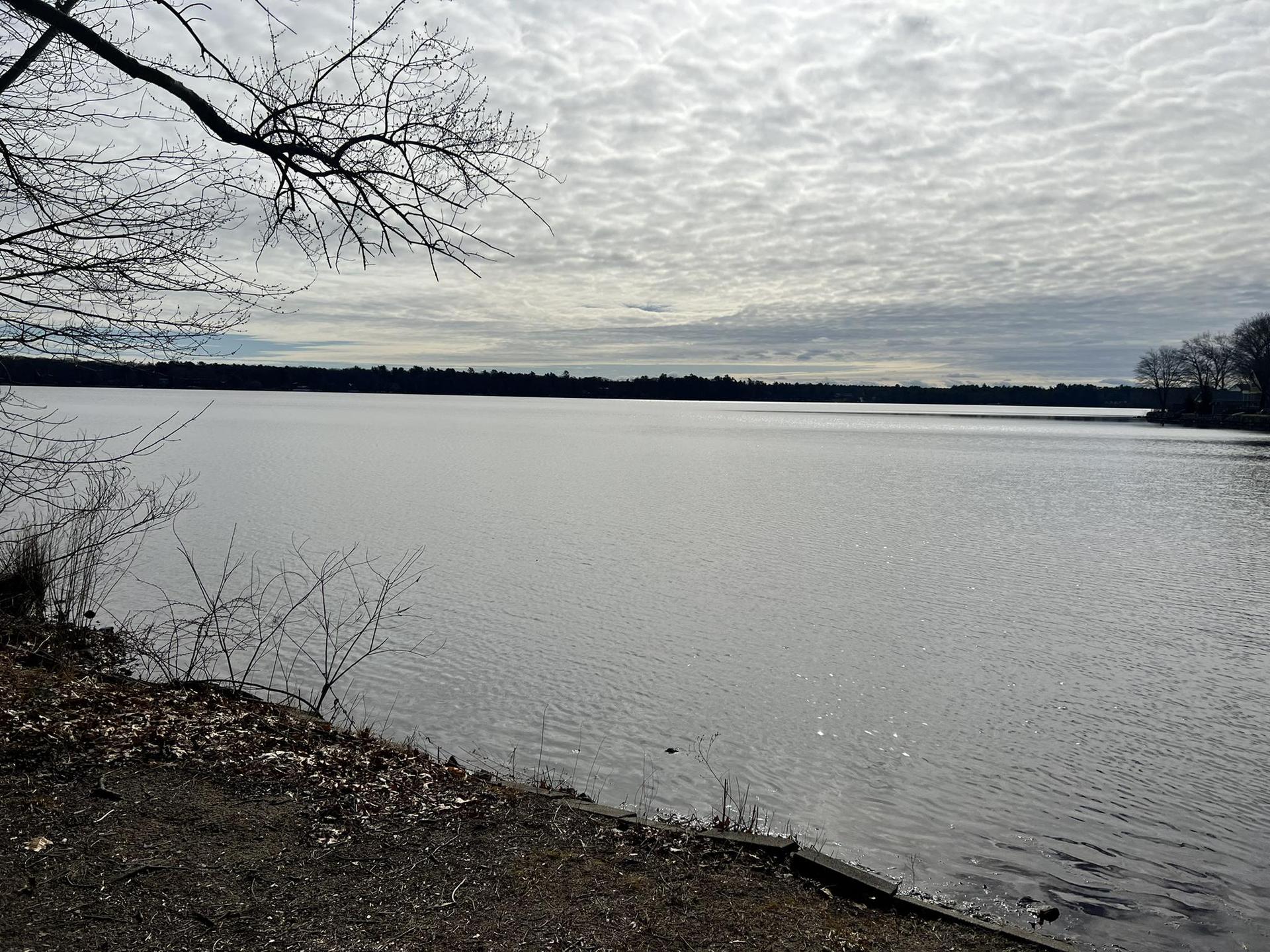 Wide lake under a cloudy sky, with bare trees and a dark shoreline.