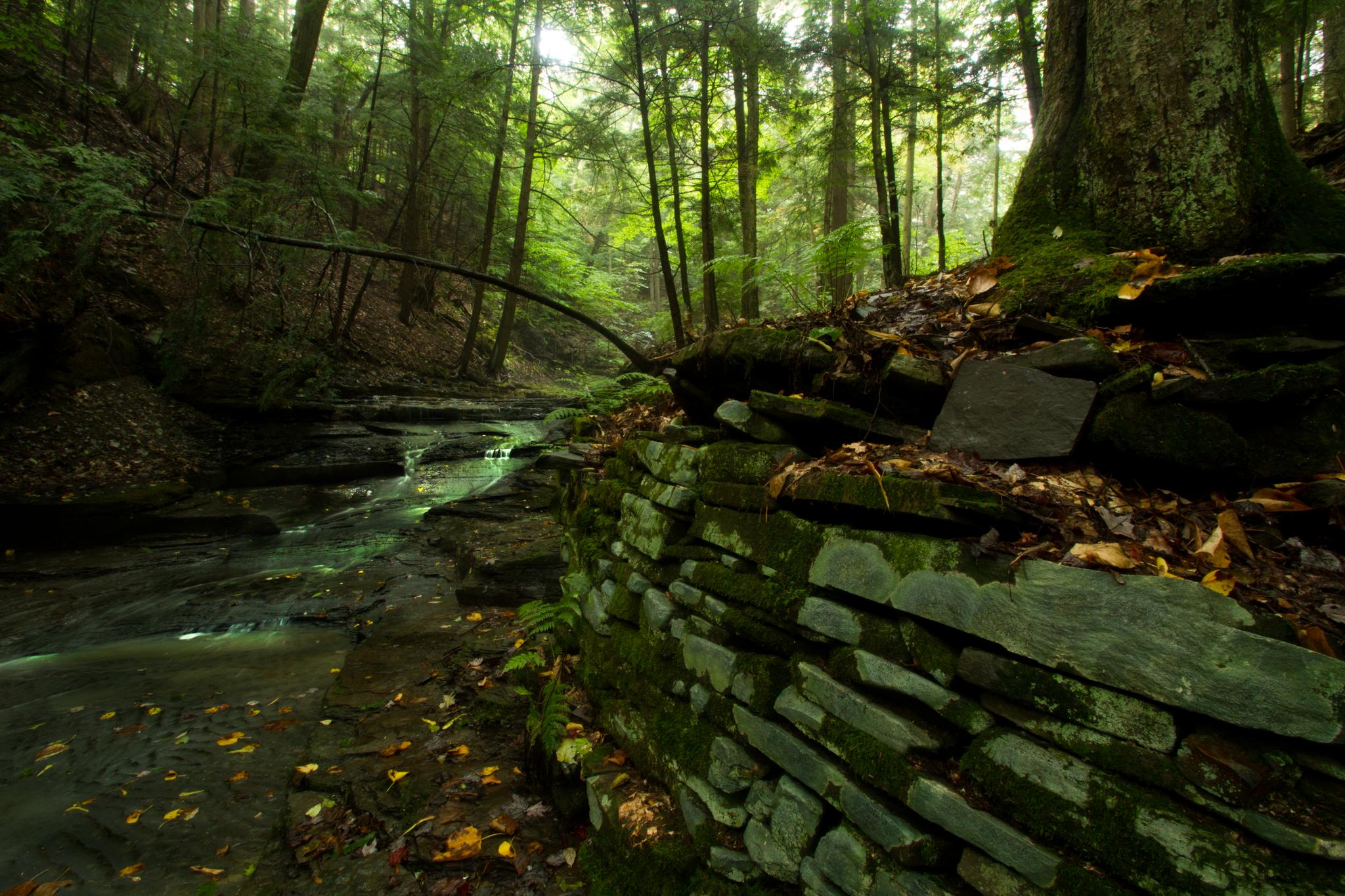 A serene stream flows through a mossy, sun-dappled forest with a stone wall.
